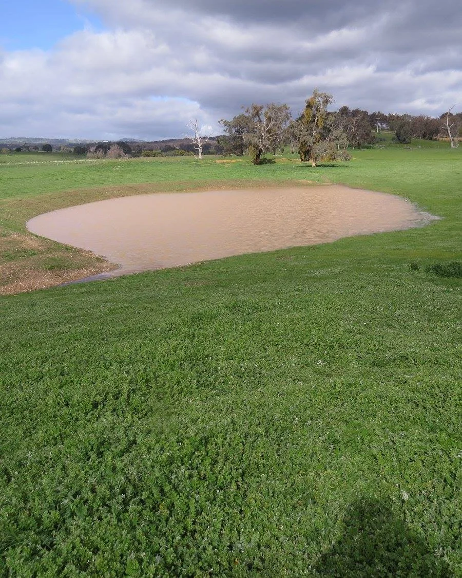 YandoitDams-FirstFill-1.jpg