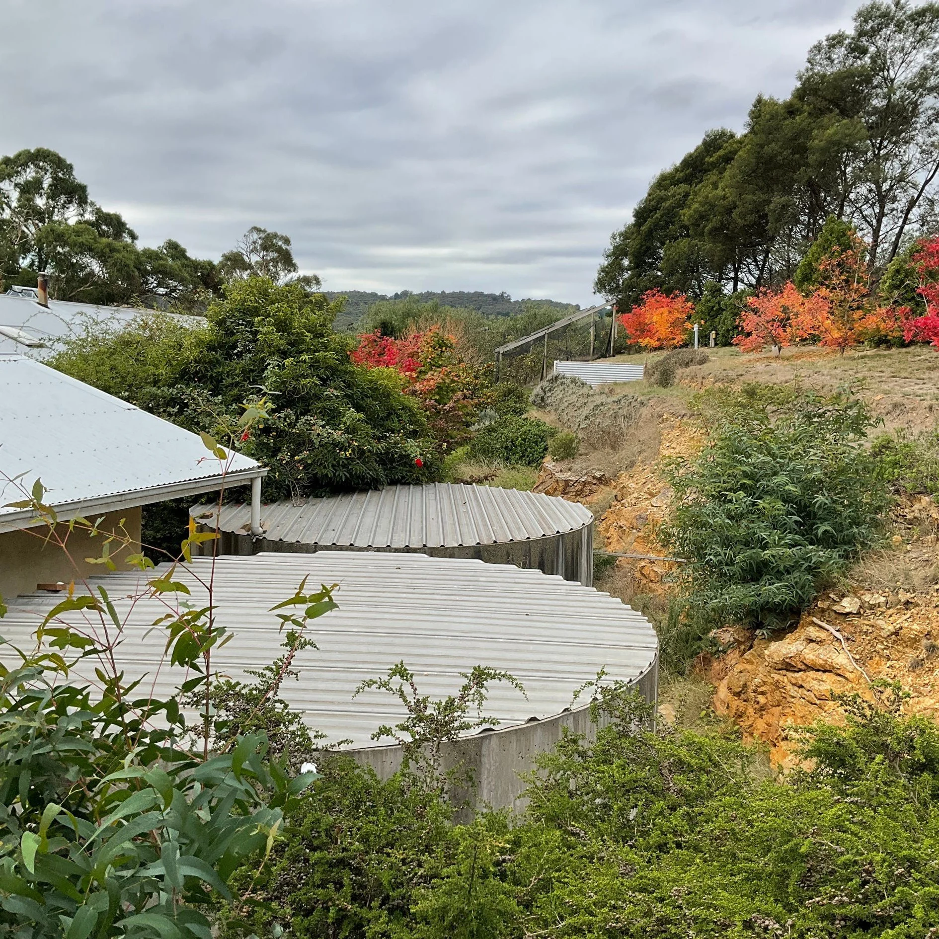 2022-MannaHill-HouseCut.jpg