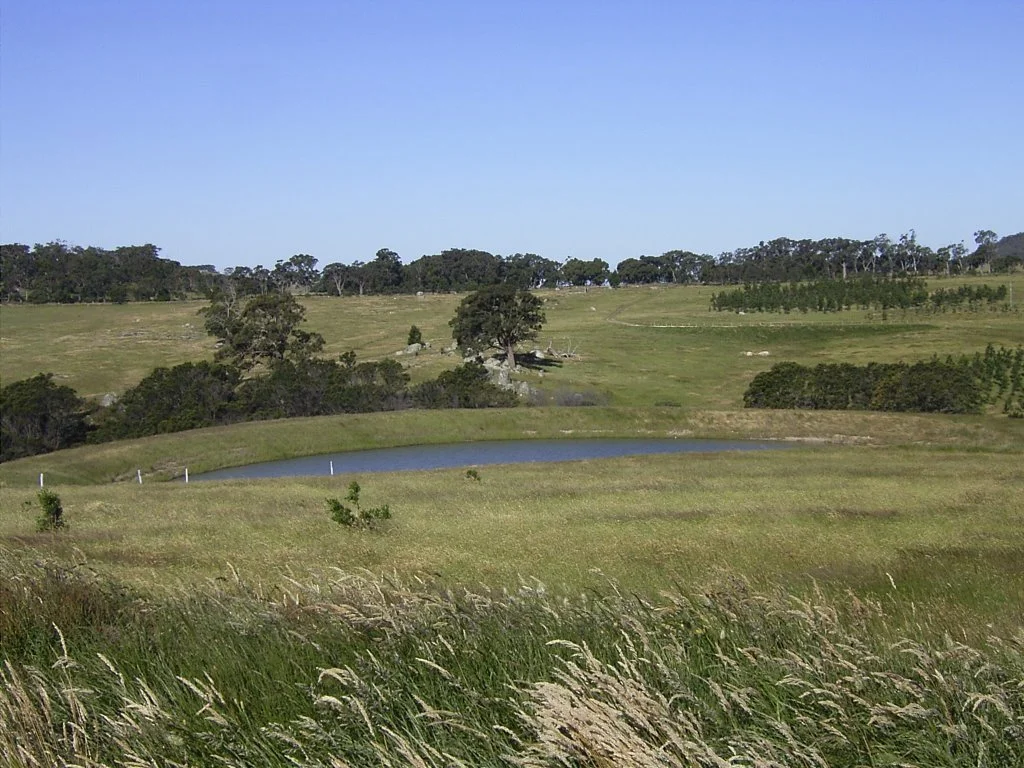 Nullavale-2007-Dams.jpg