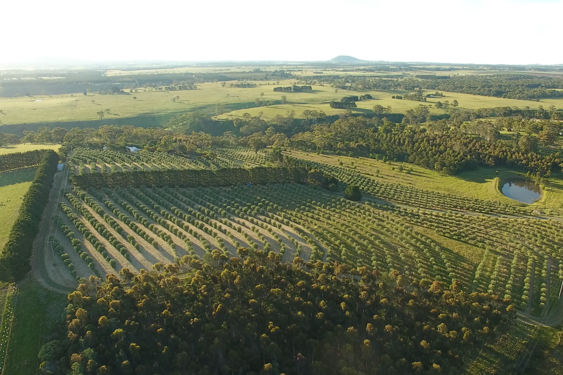 2016-MannaHill-Aerial-1.png