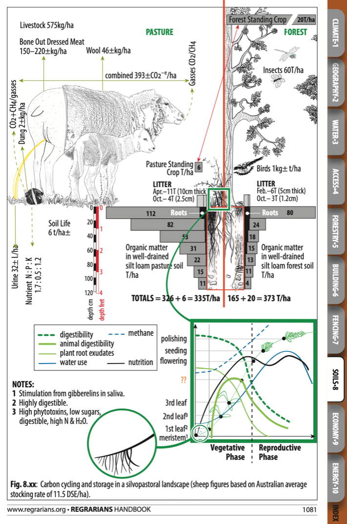 Fig.8.xx Carbon cycling.png