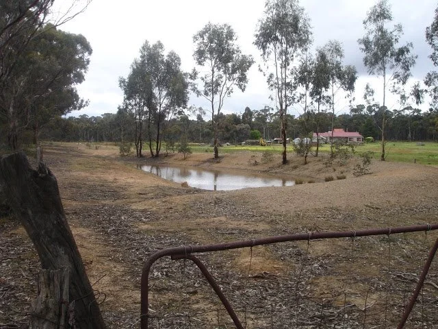 Myrtledale1.jpg