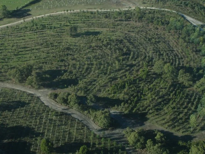Dalpura-2005-Forestry-Aerial-1.jpg