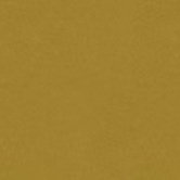 SAHARA GOLD