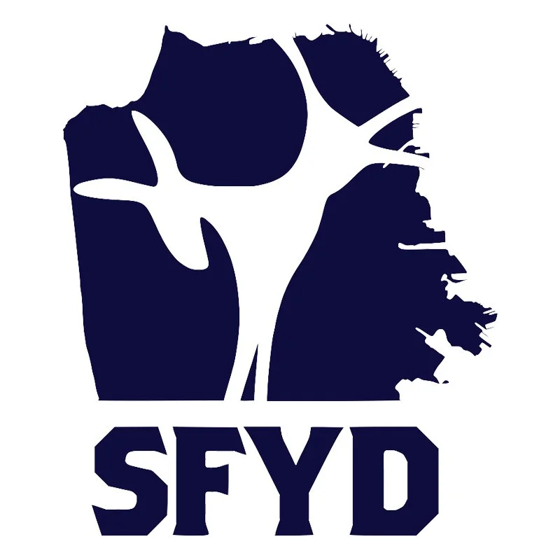 SFYD - Canvassing for Stephen Sherrill for Supervisor with Mayor Lurie
