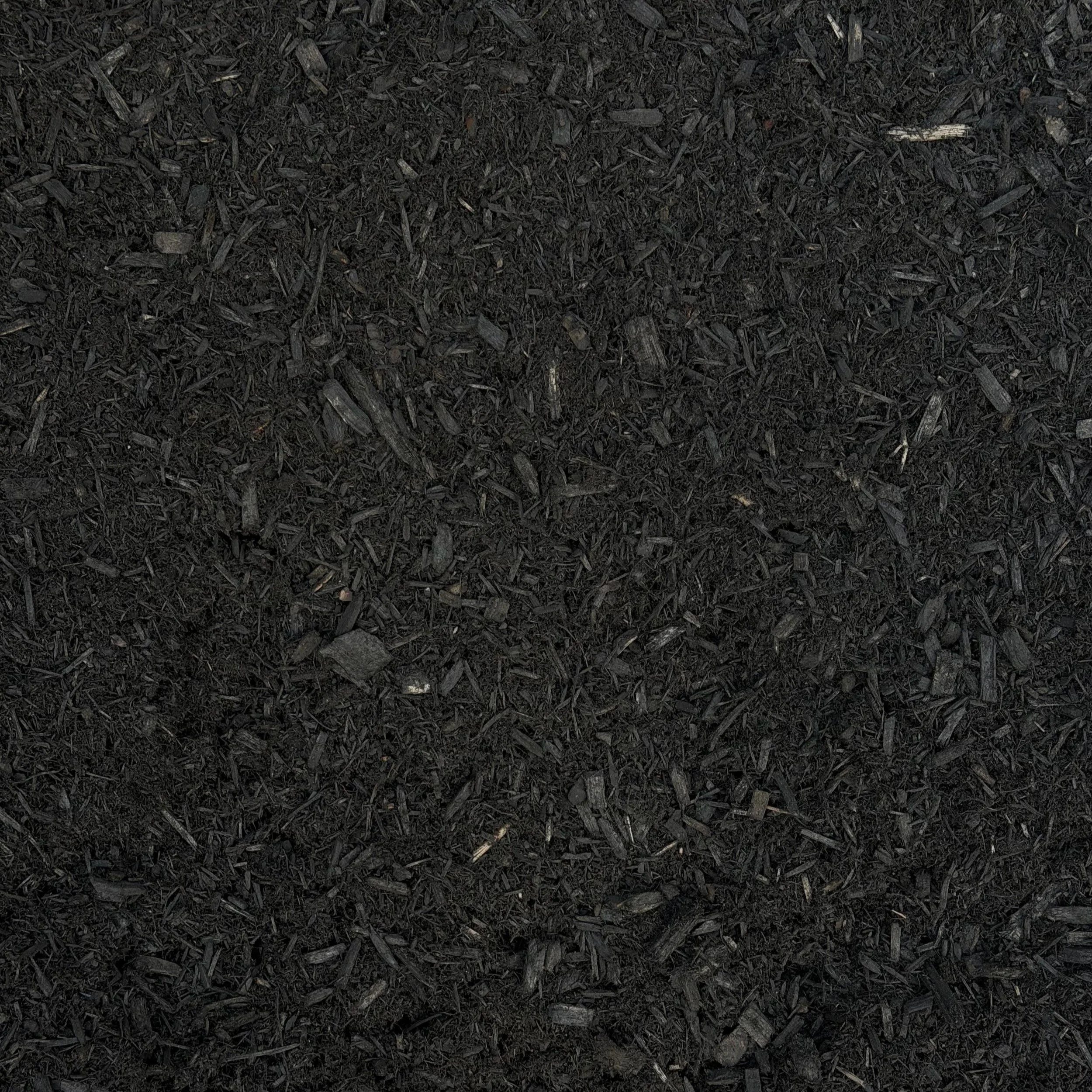 Prem+Black.jpg