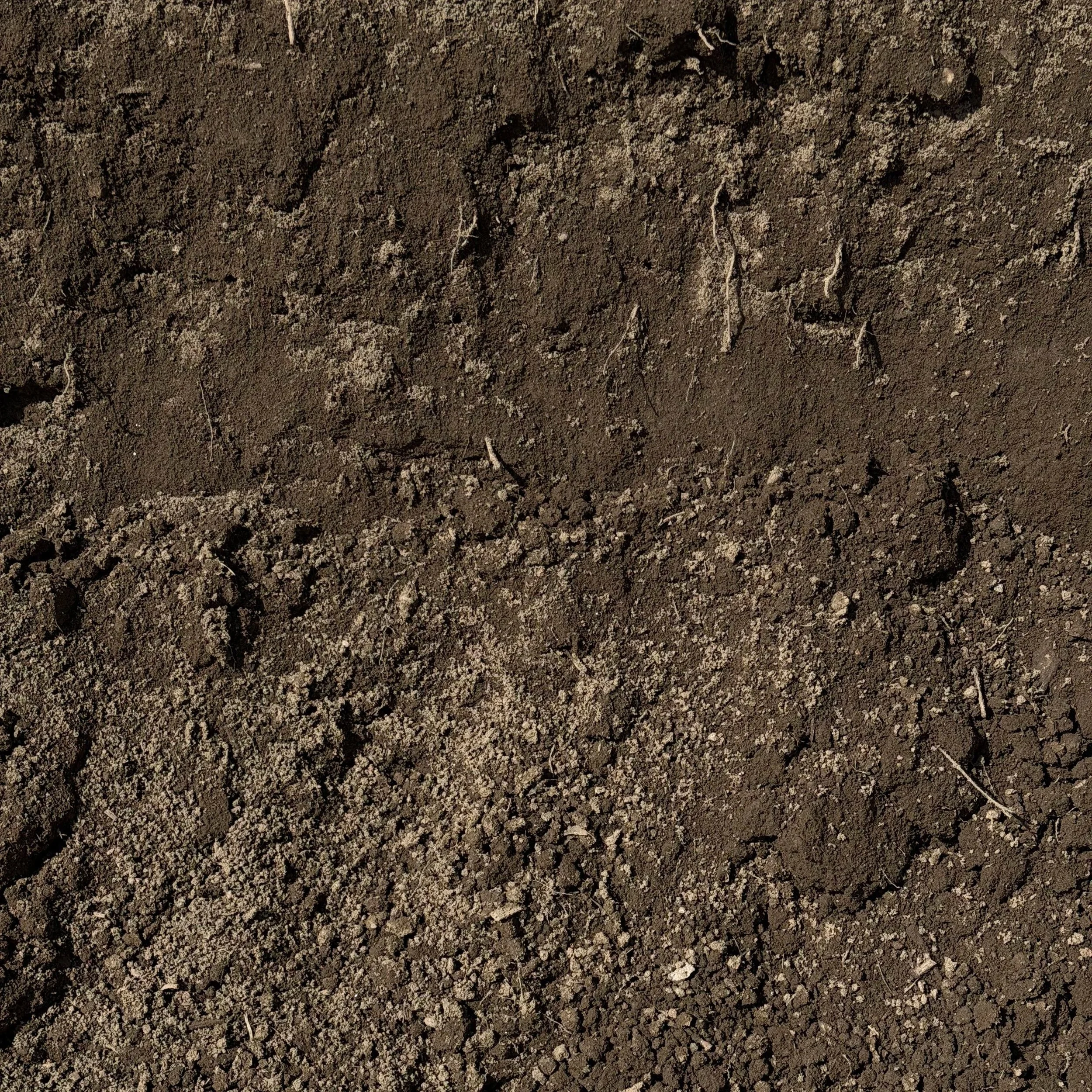 Loam.jpg