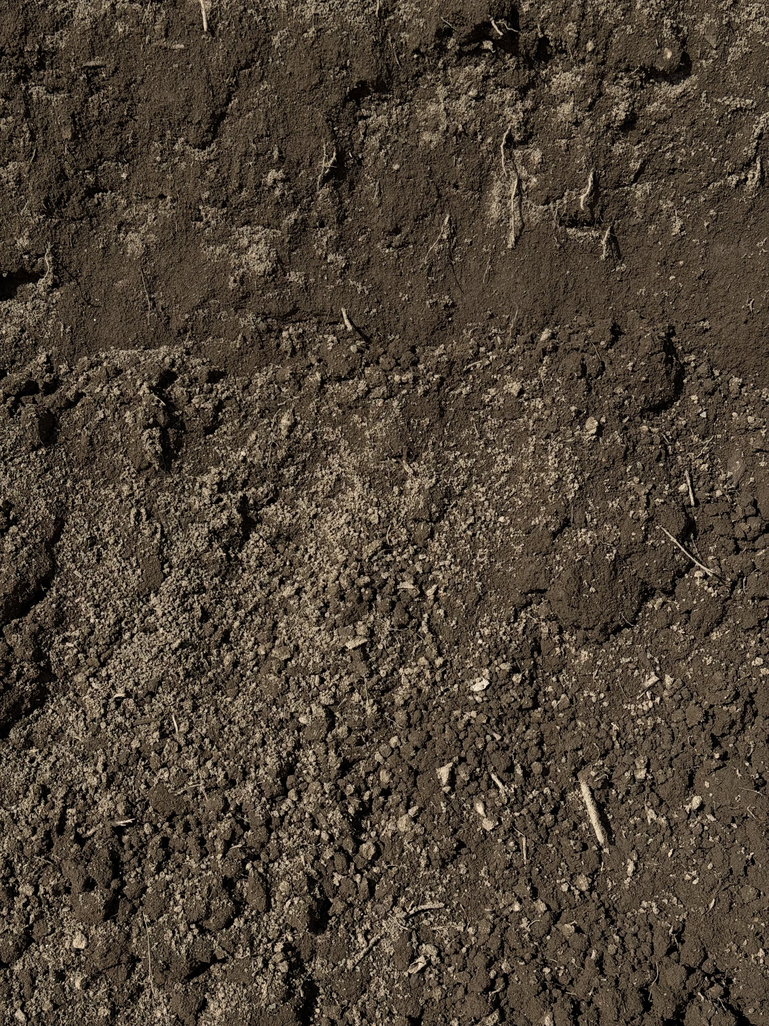 Screened Loam (Topsoil)
