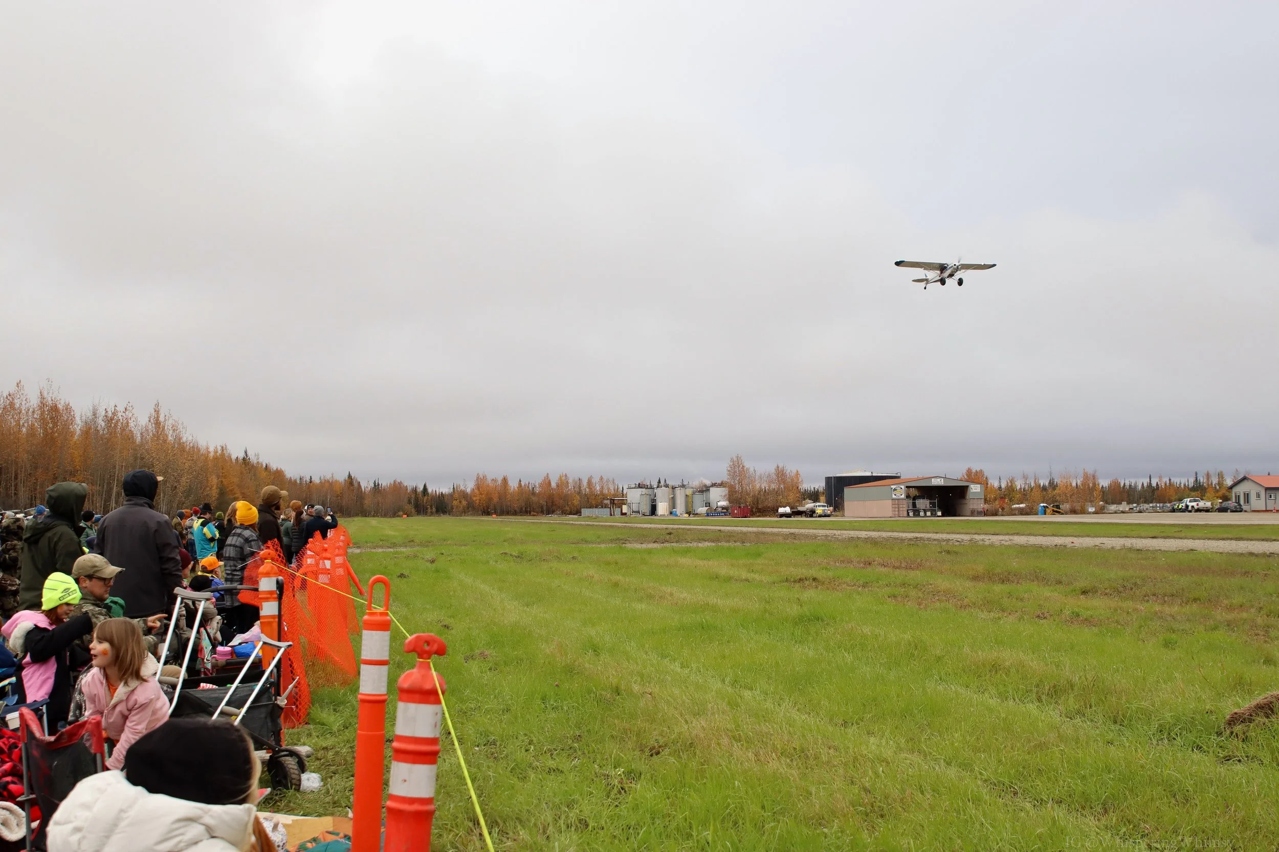 The Great Interior Pumpkin Drop