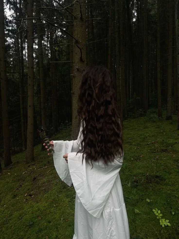 In the Heart of the Forest Novella