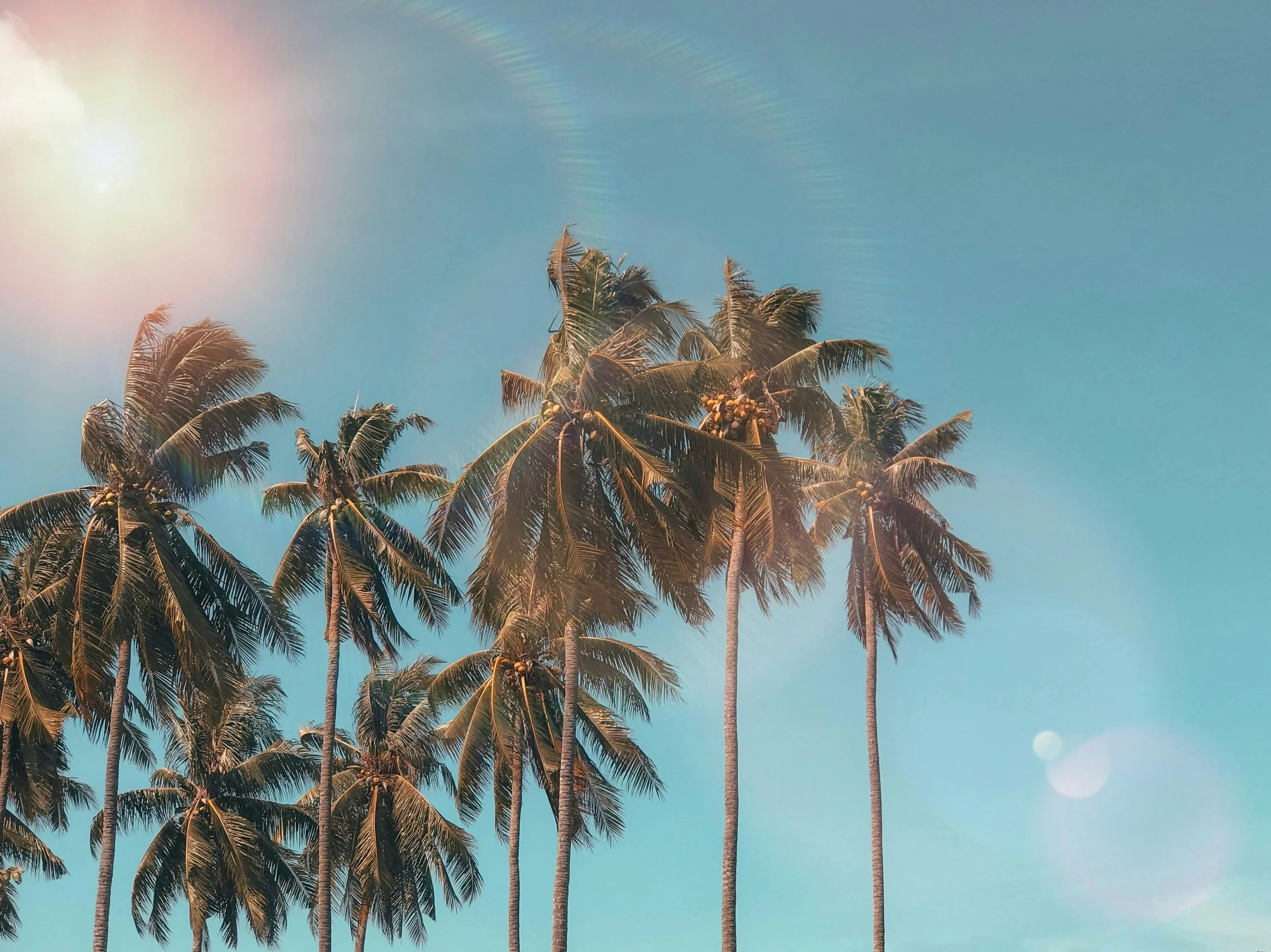 The Heart of Summer