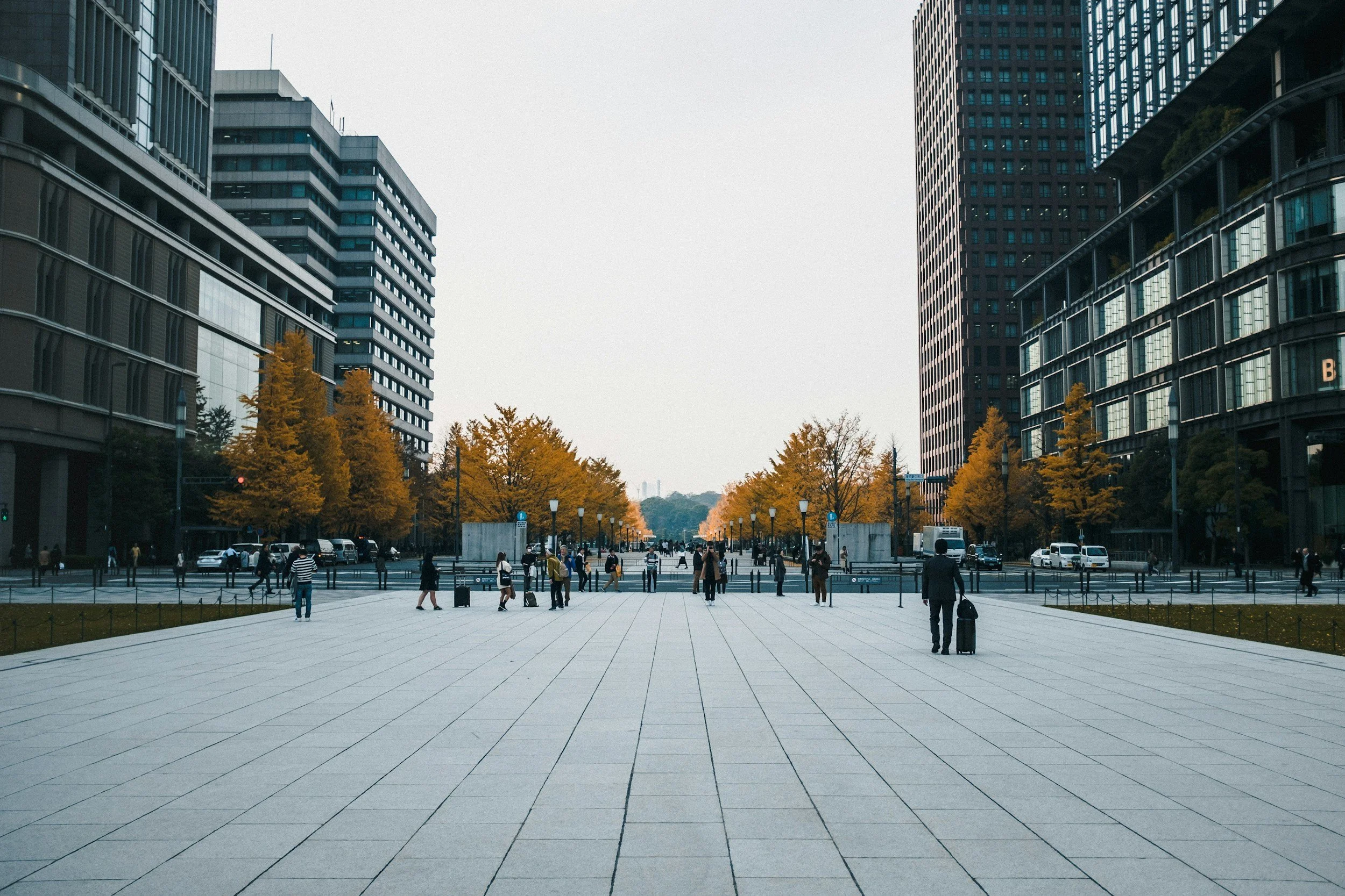 unsplash-image-0cZgvYHirBg.jpg