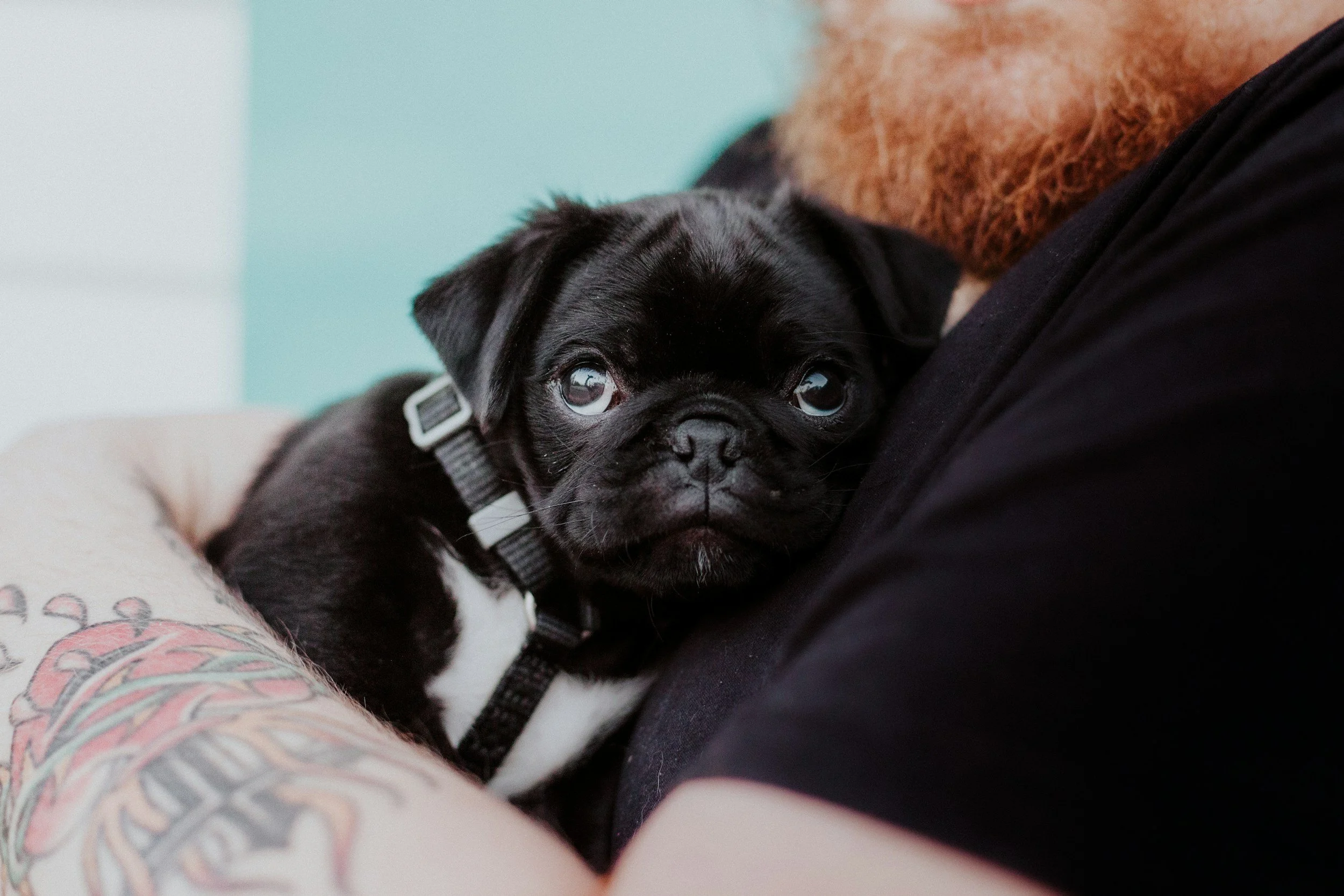 unsplash-image-wnPoM3m8DA4.jpg
