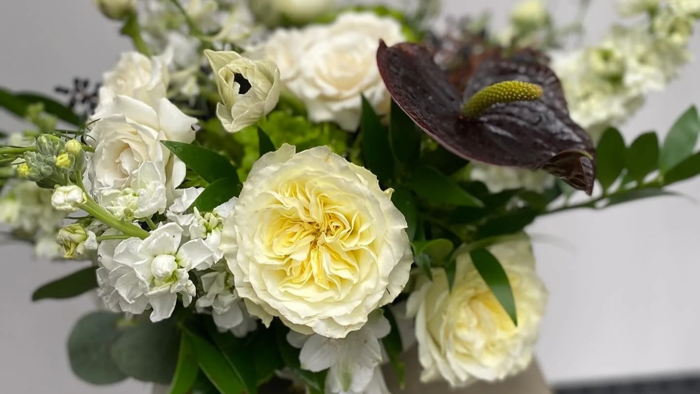 A floral arrangement with white roses, white stock, and dark purple anthuriums, accented with green foliage.