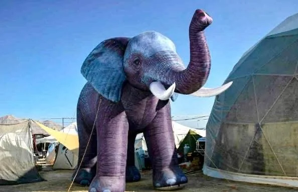 Elephant Camp Mascot