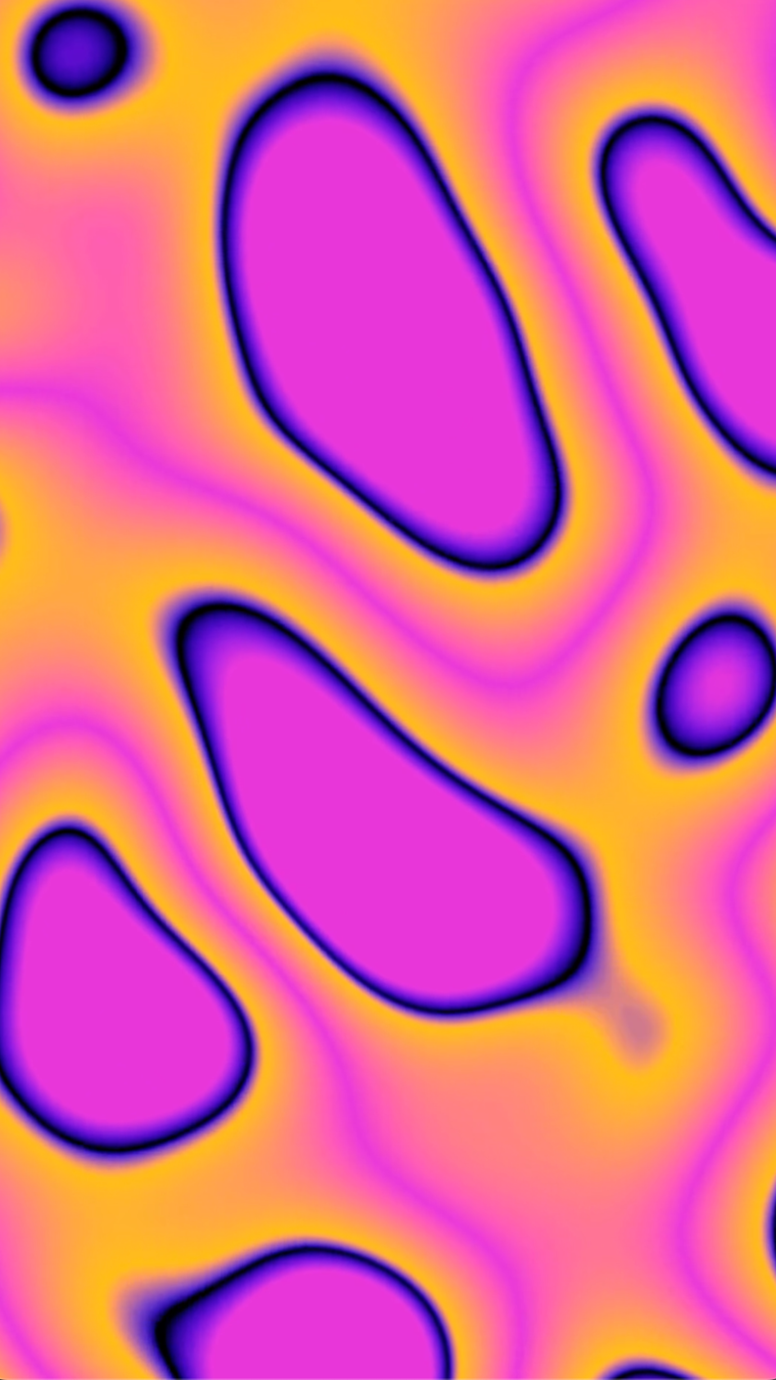 solarsorbet_asset_04_image.png
