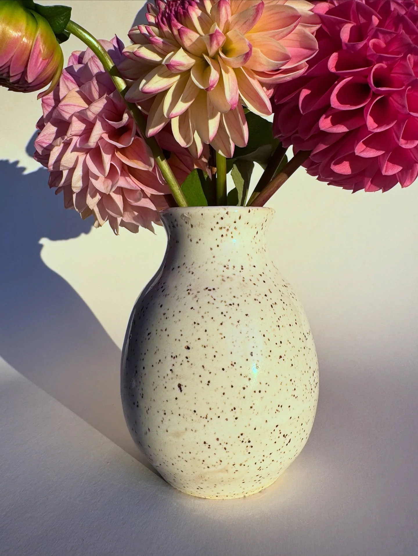 My iCloud screaming at me that I&rsquo;m out of storage while I&rsquo;m over here with thousands of product photos and 96 hours of throwing videos I can&rsquo;t delete 👀

#product #photodump #ceramics #pottery #homestudio #clay