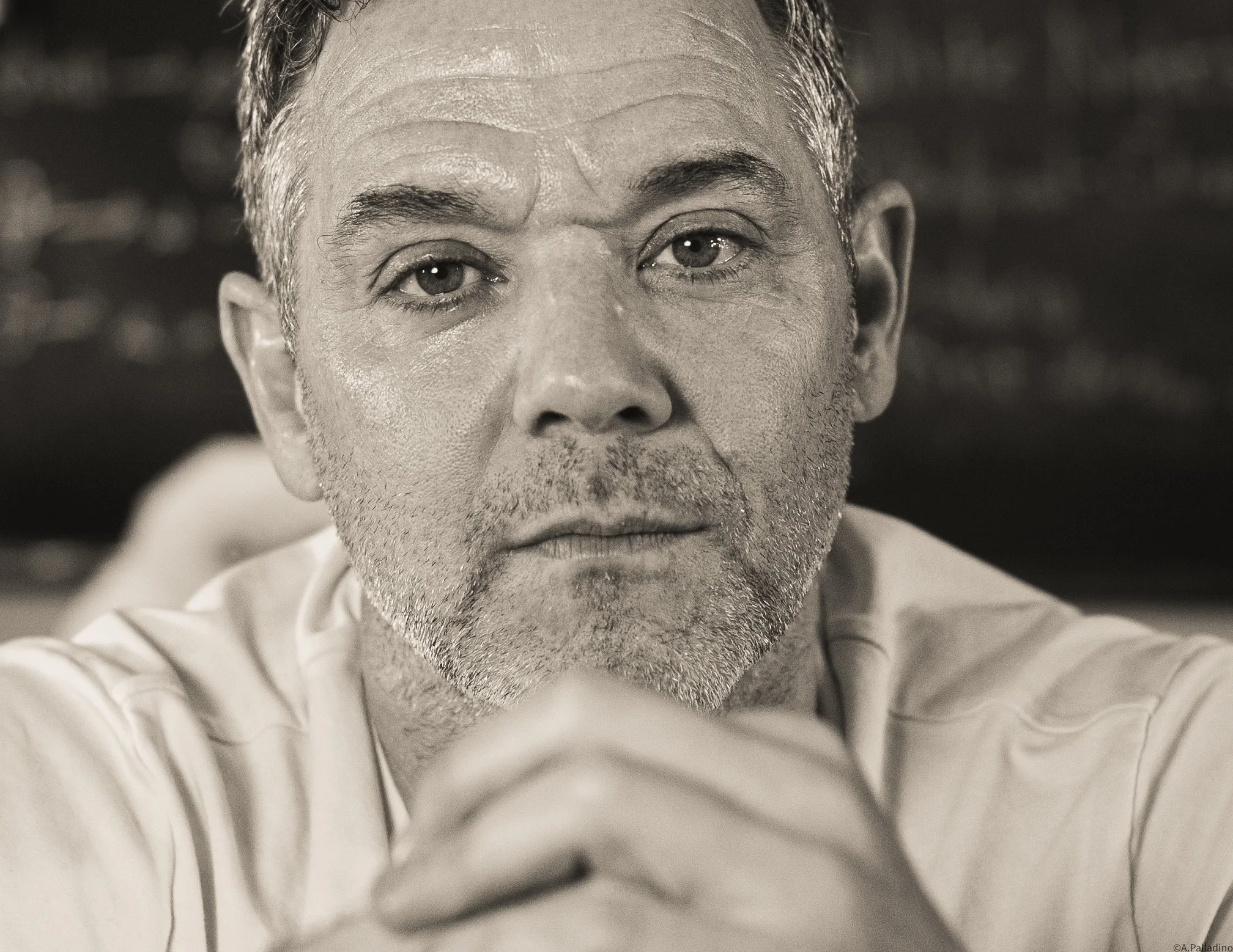 Josh Bitton 1 B&W ECU .jpg