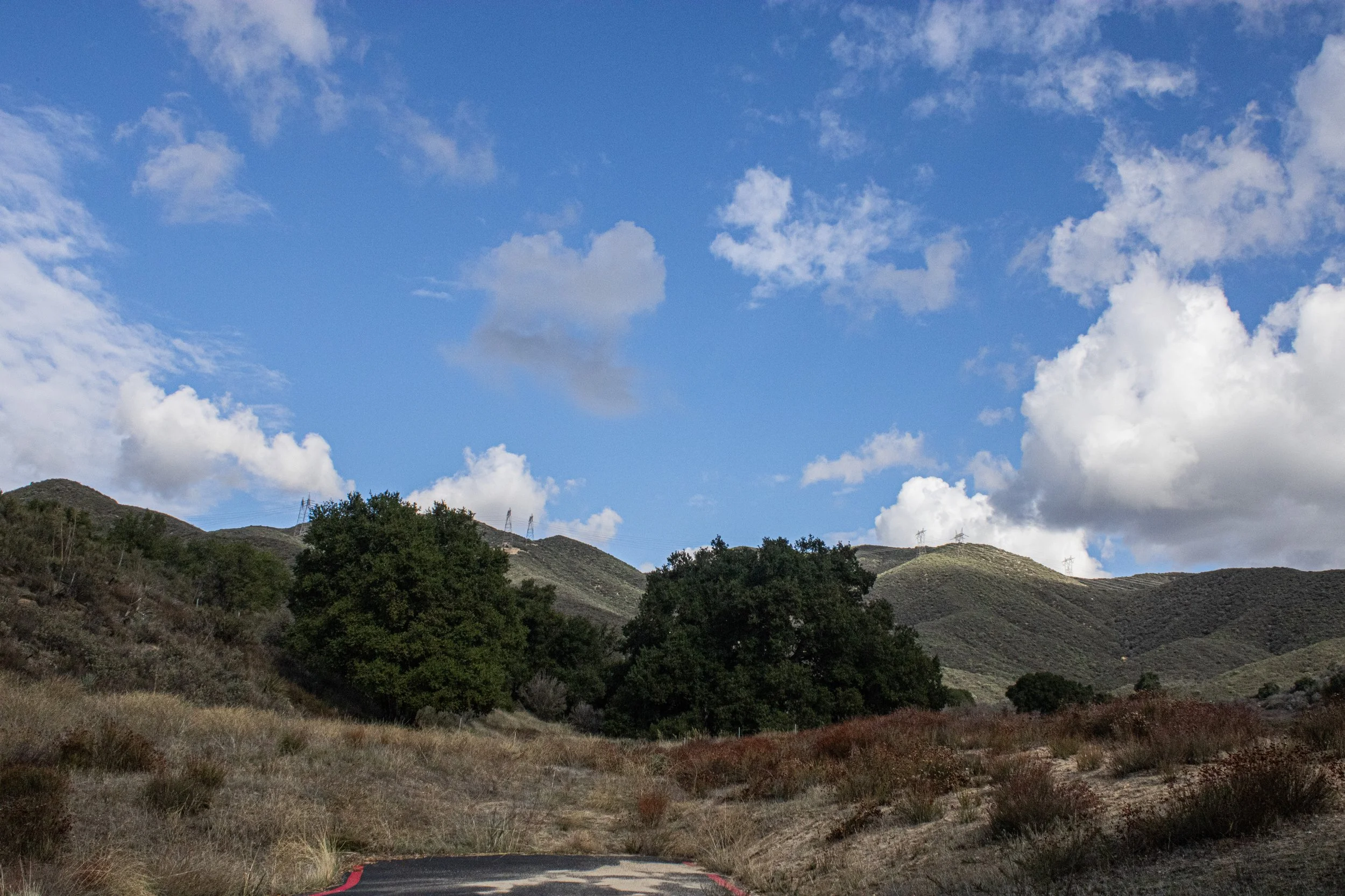 Fall 2025 edit 5.jpg