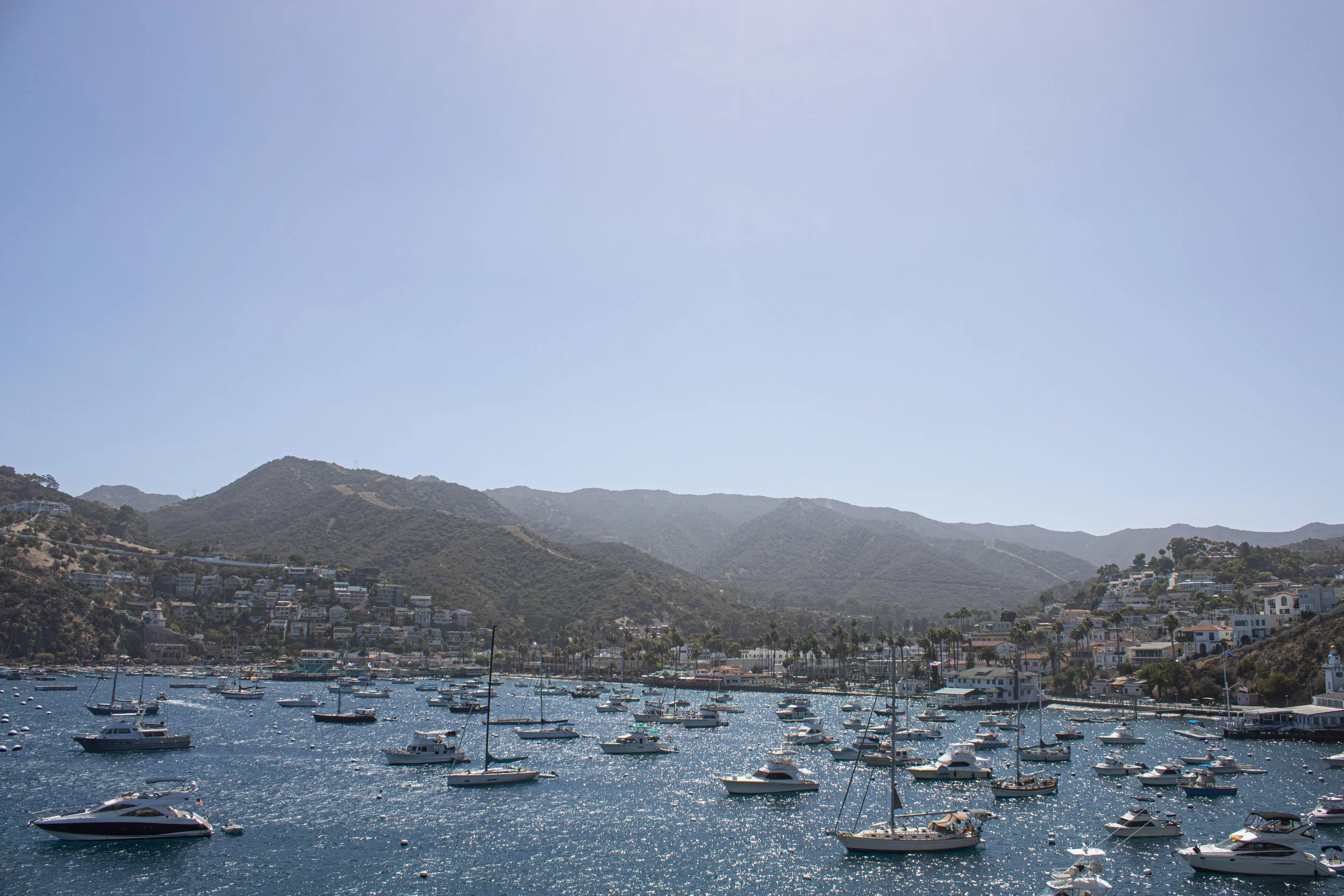 Catalina 2.jpg
