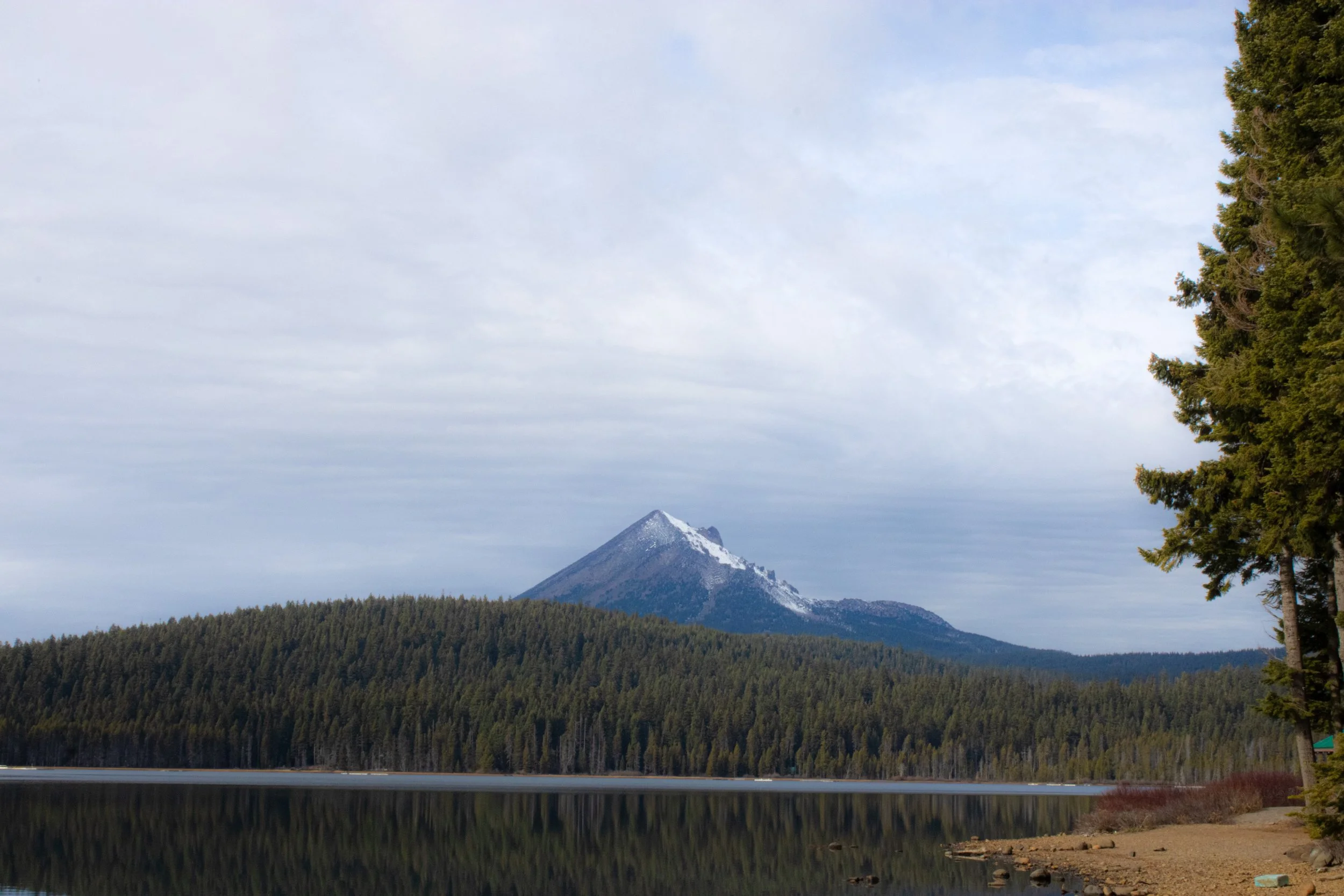 Winter 2025 edit 9.jpg