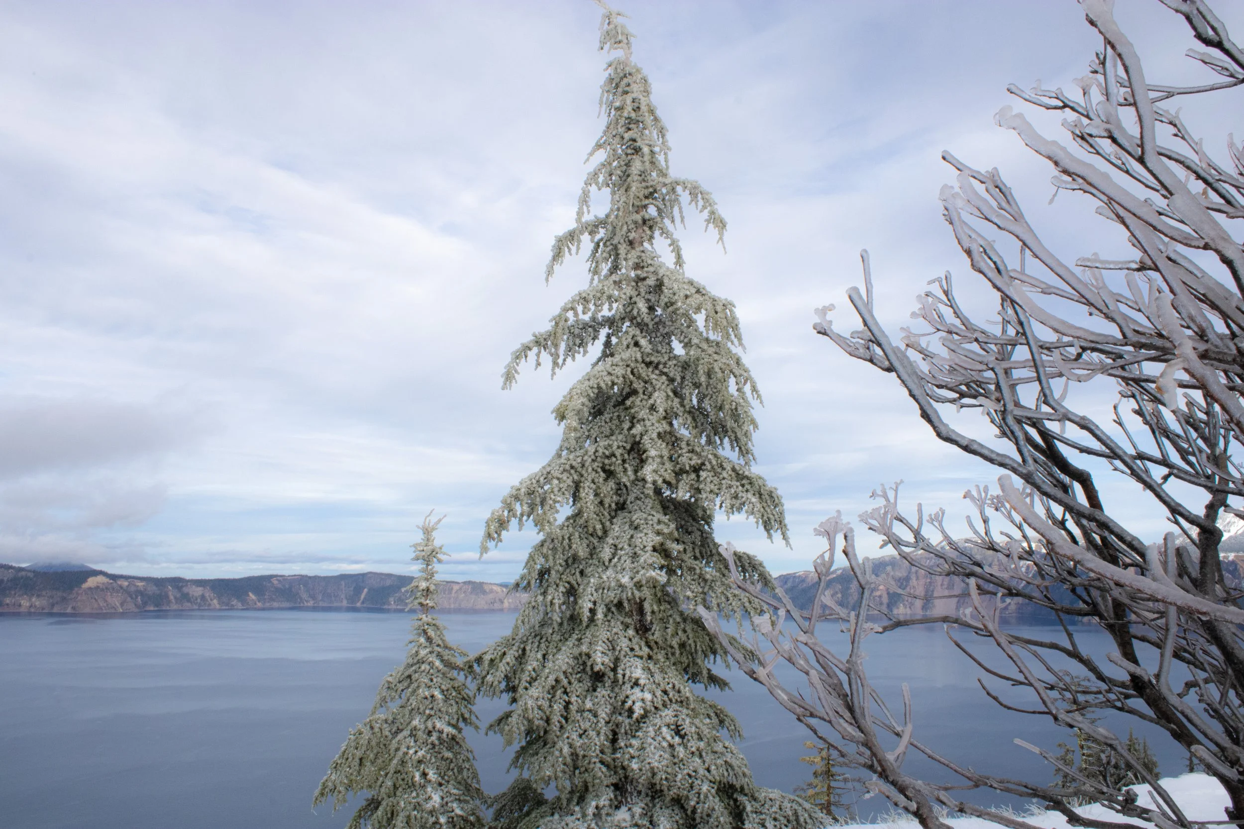 Winter 2025 edit 5.jpg