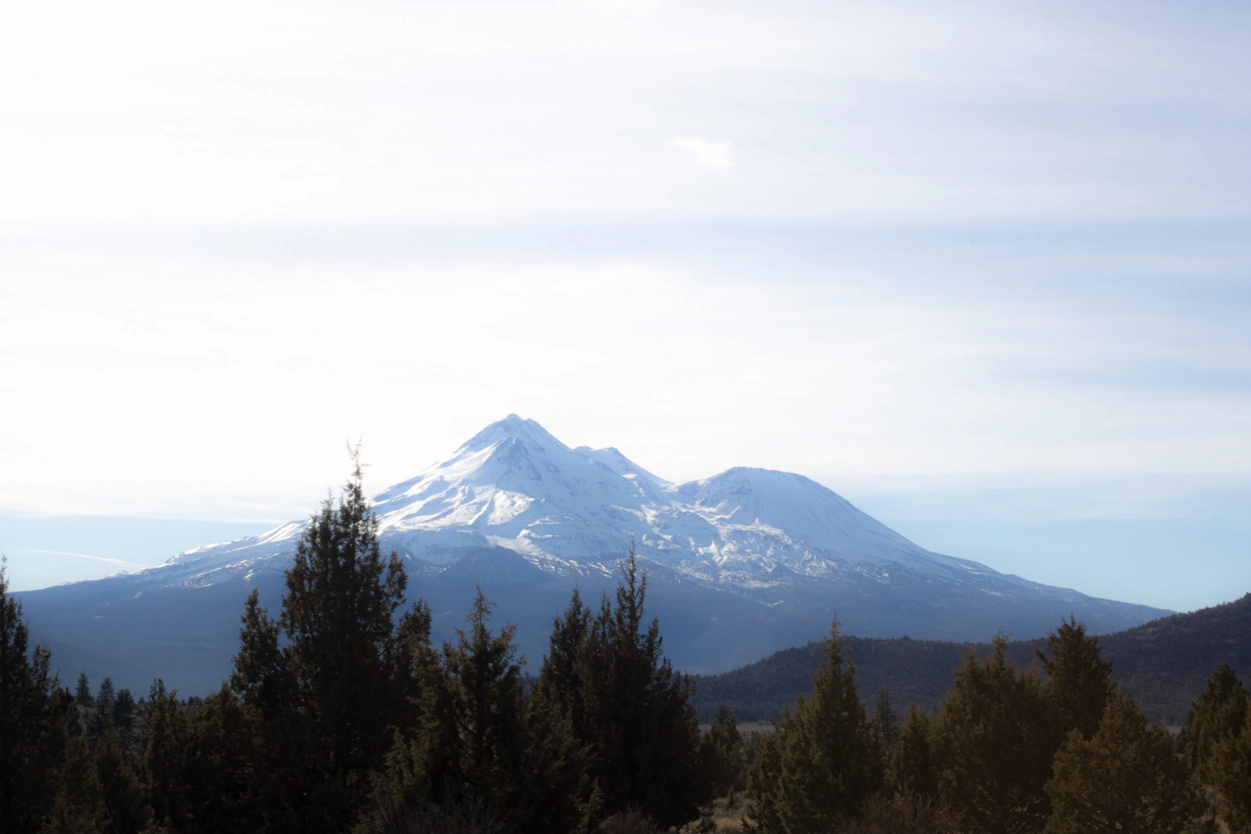 Winter 2025 edit 10.jpg