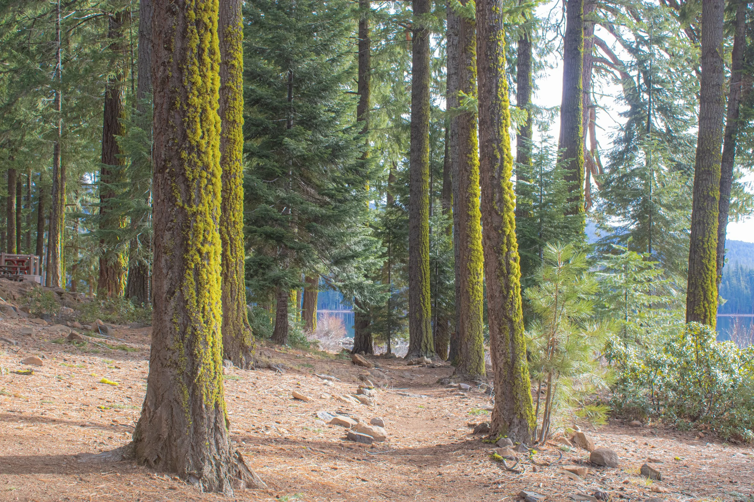 Winter 2025 edit 8.jpg