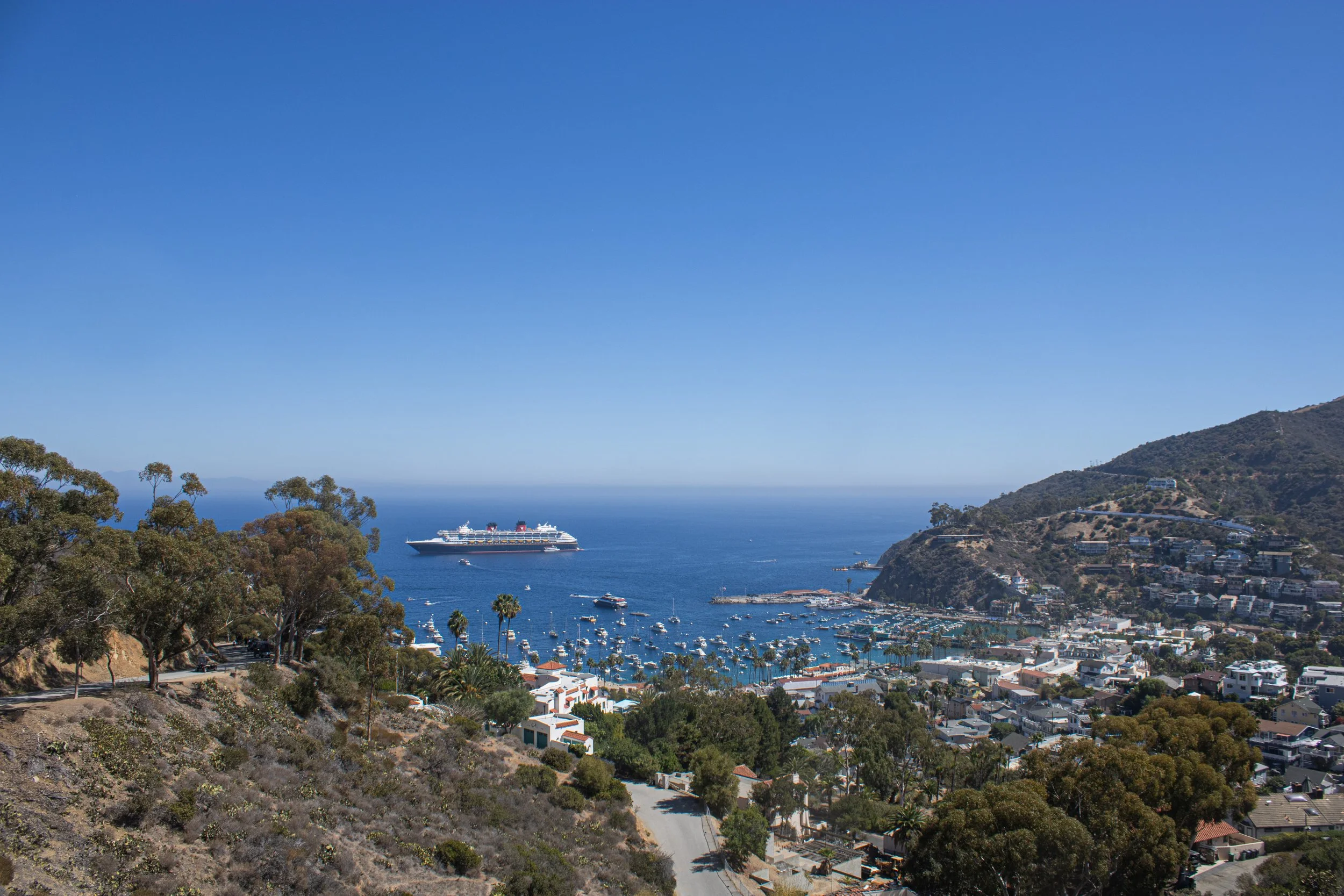 Catalina 11.jpg