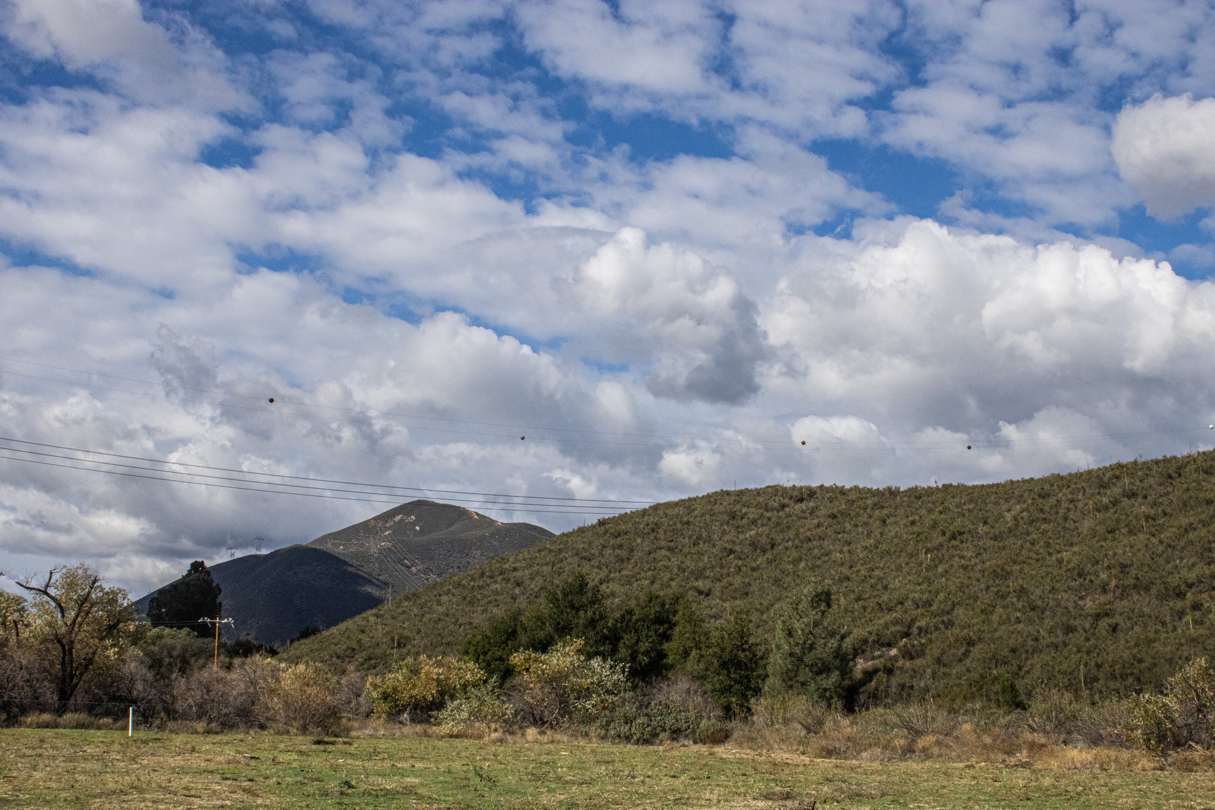 Fall 2025 edit 6.jpg