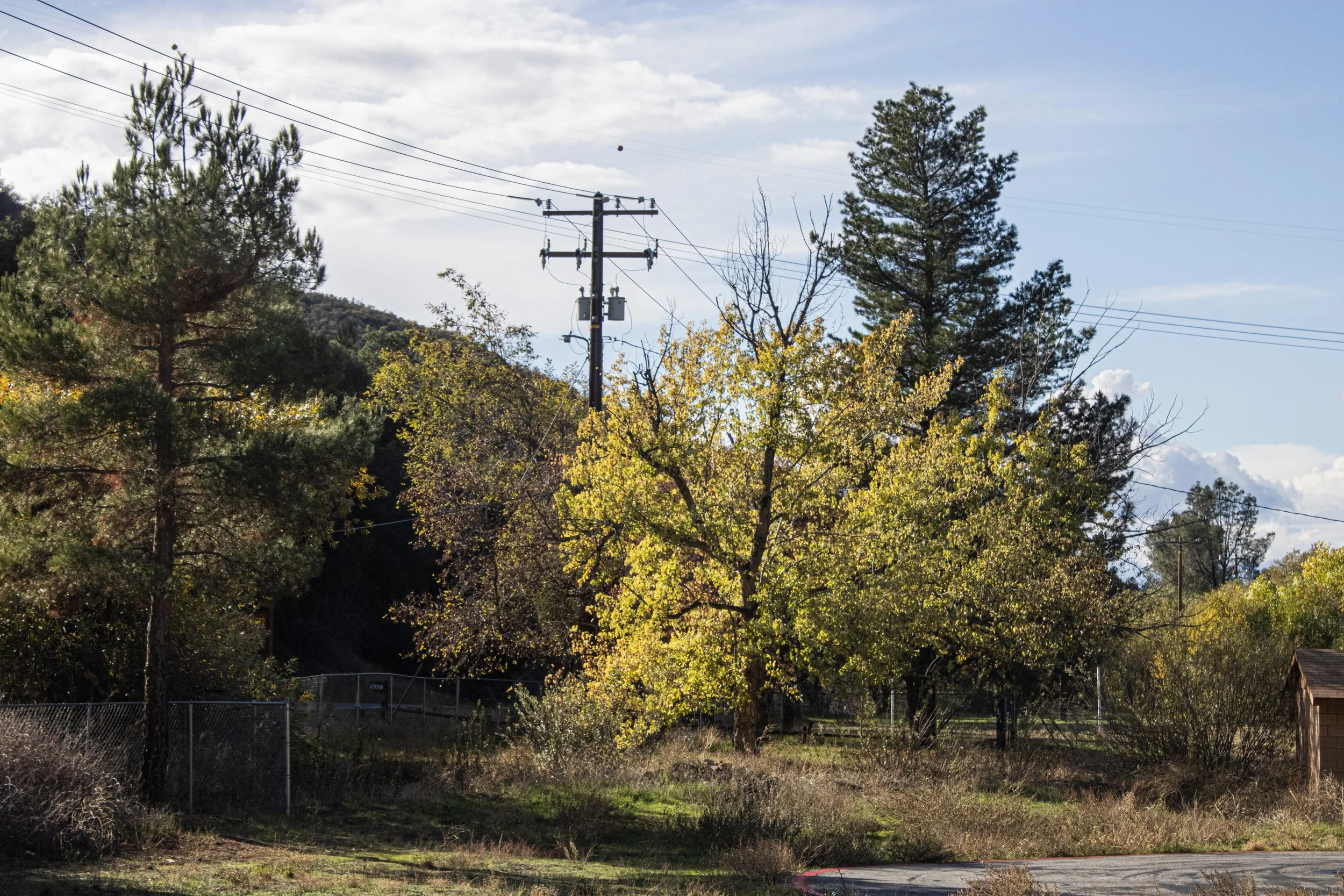 Fall 2025 edit 4.jpg