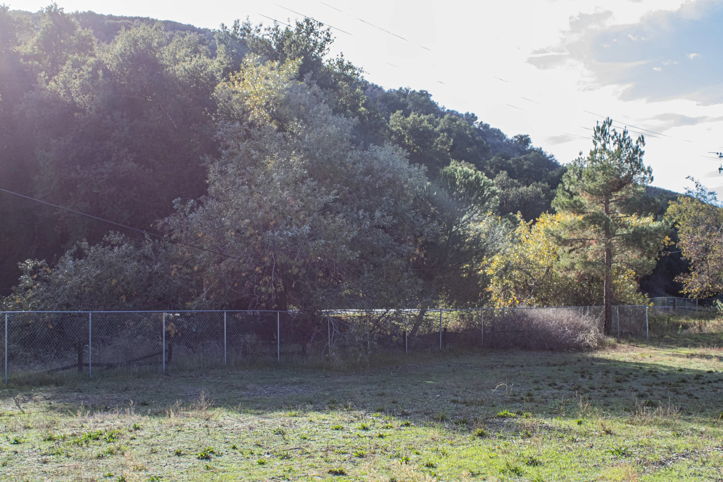 Fall 2025 edit 2.jpg