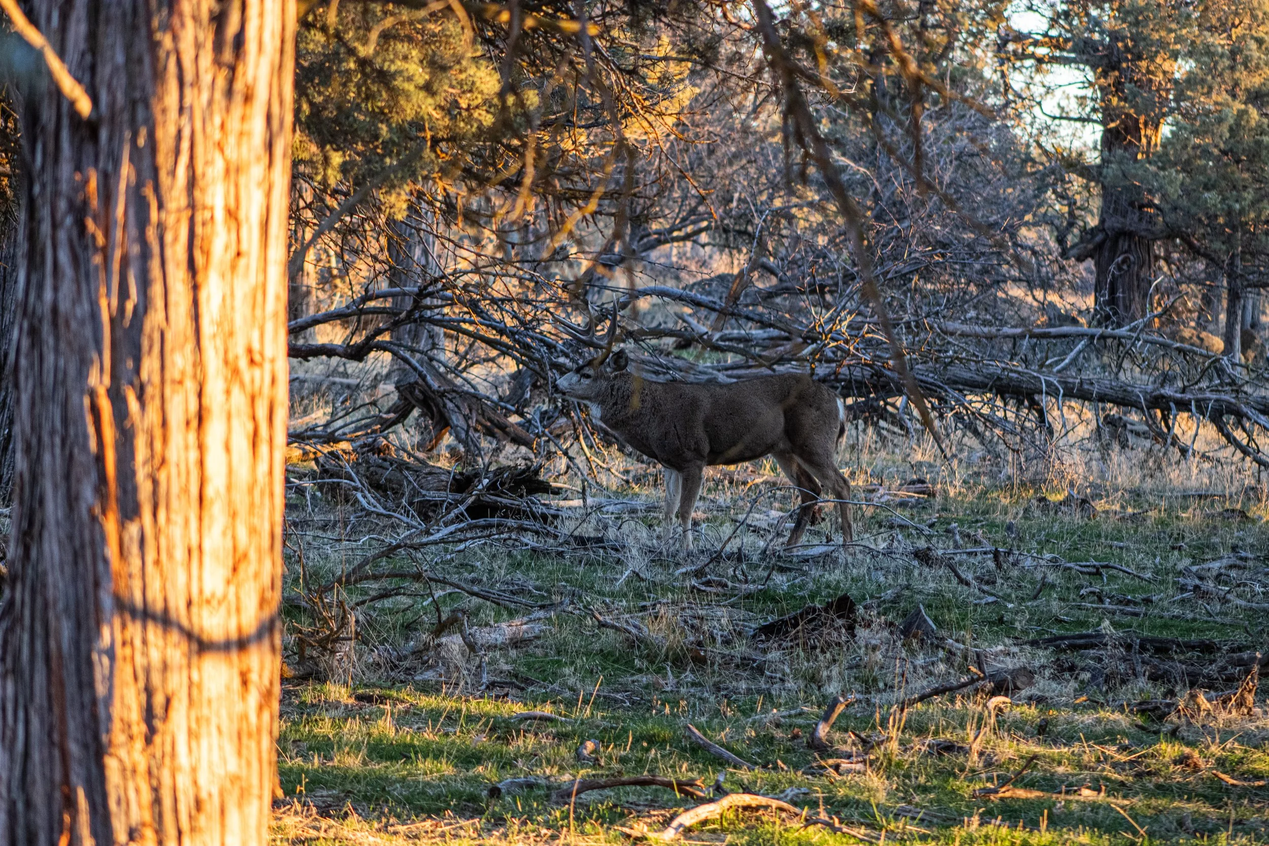 Fall 2025 edit 7.jpg