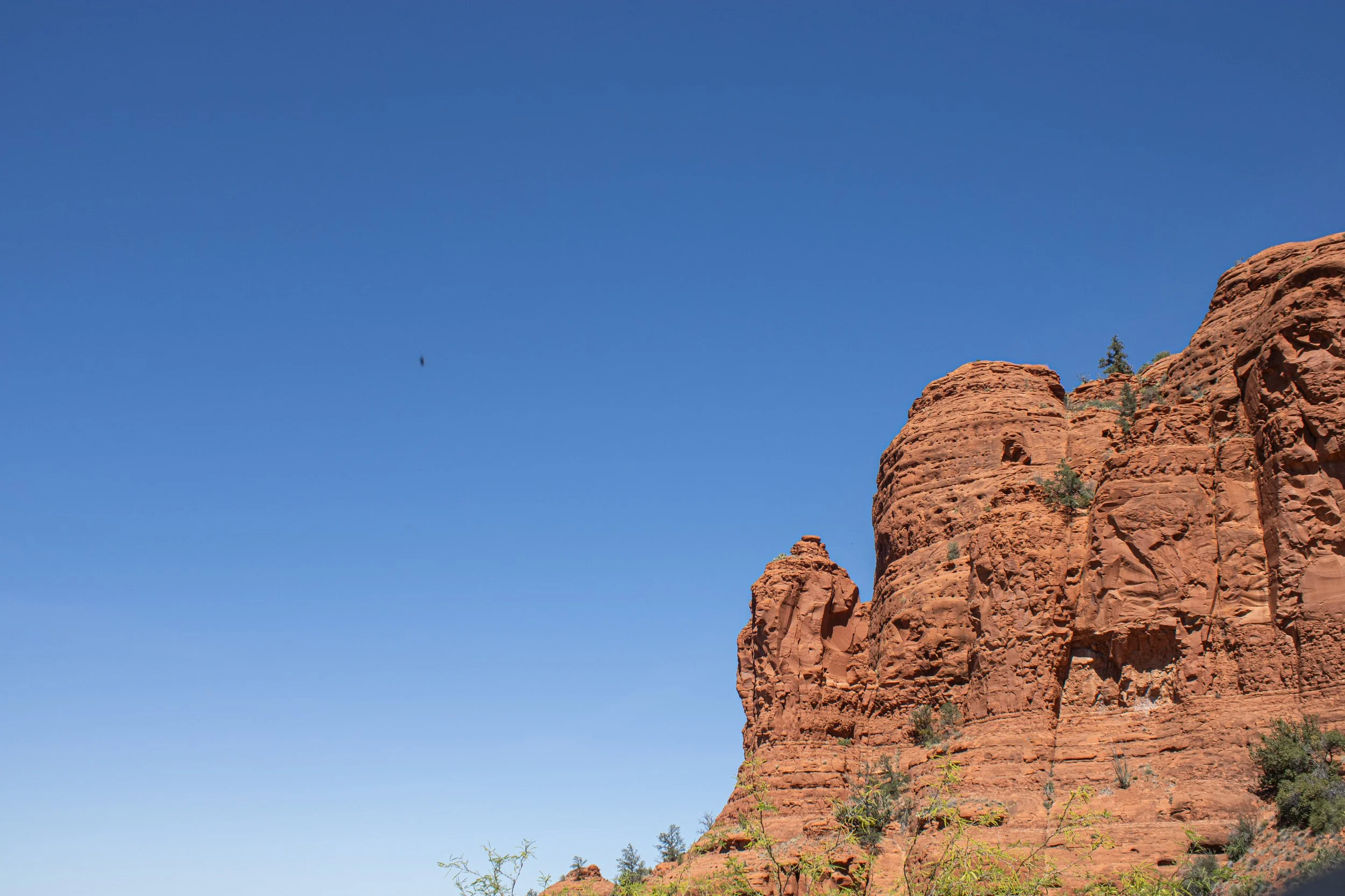 Arizona 7.jpg