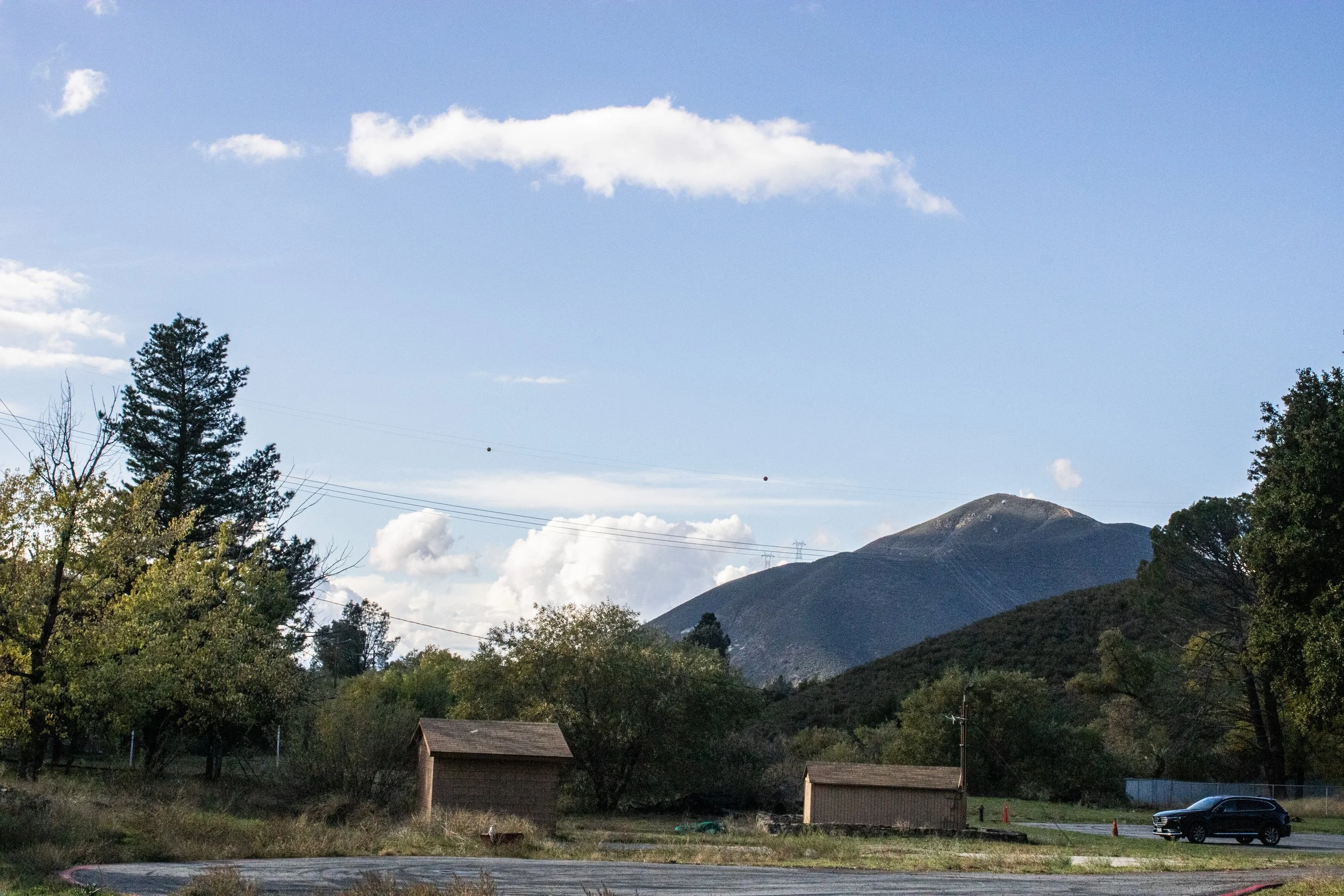 Fall 2025 edit 1.jpg