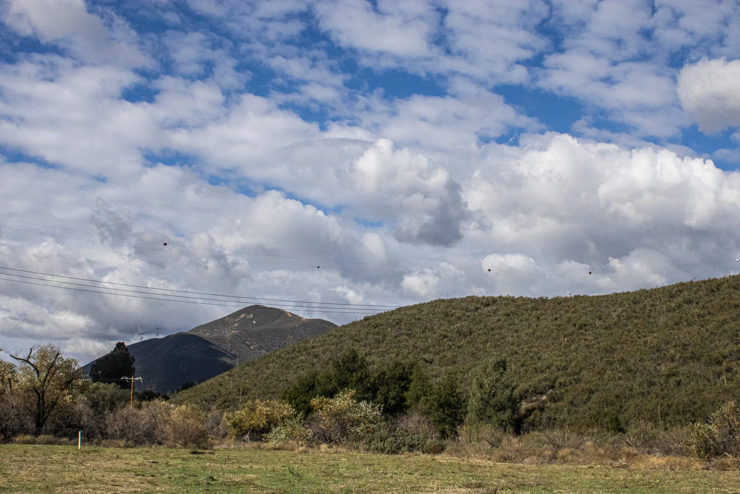SKIES, TREES, & CLOUDS