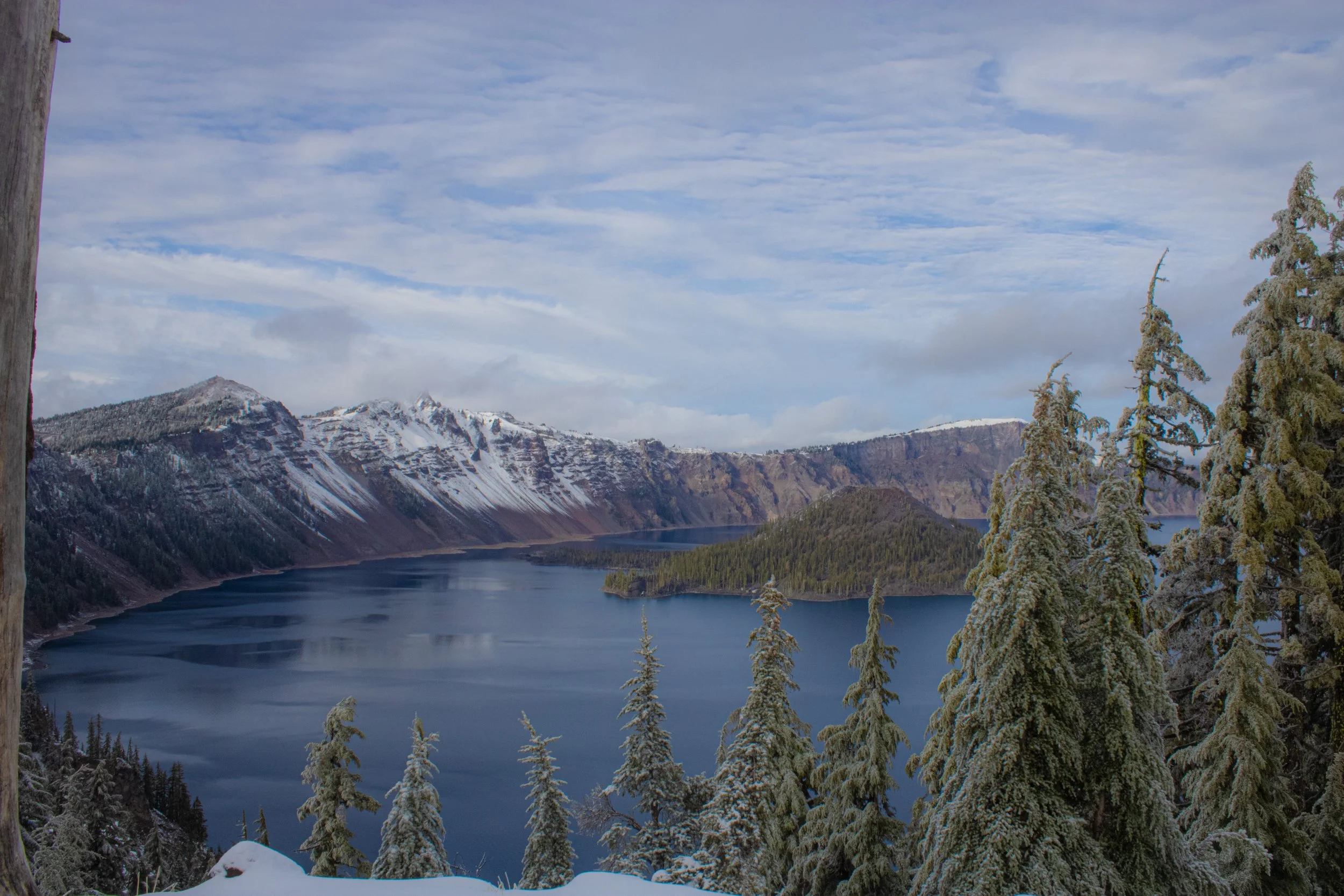 Winter 2025 edit 6.jpg