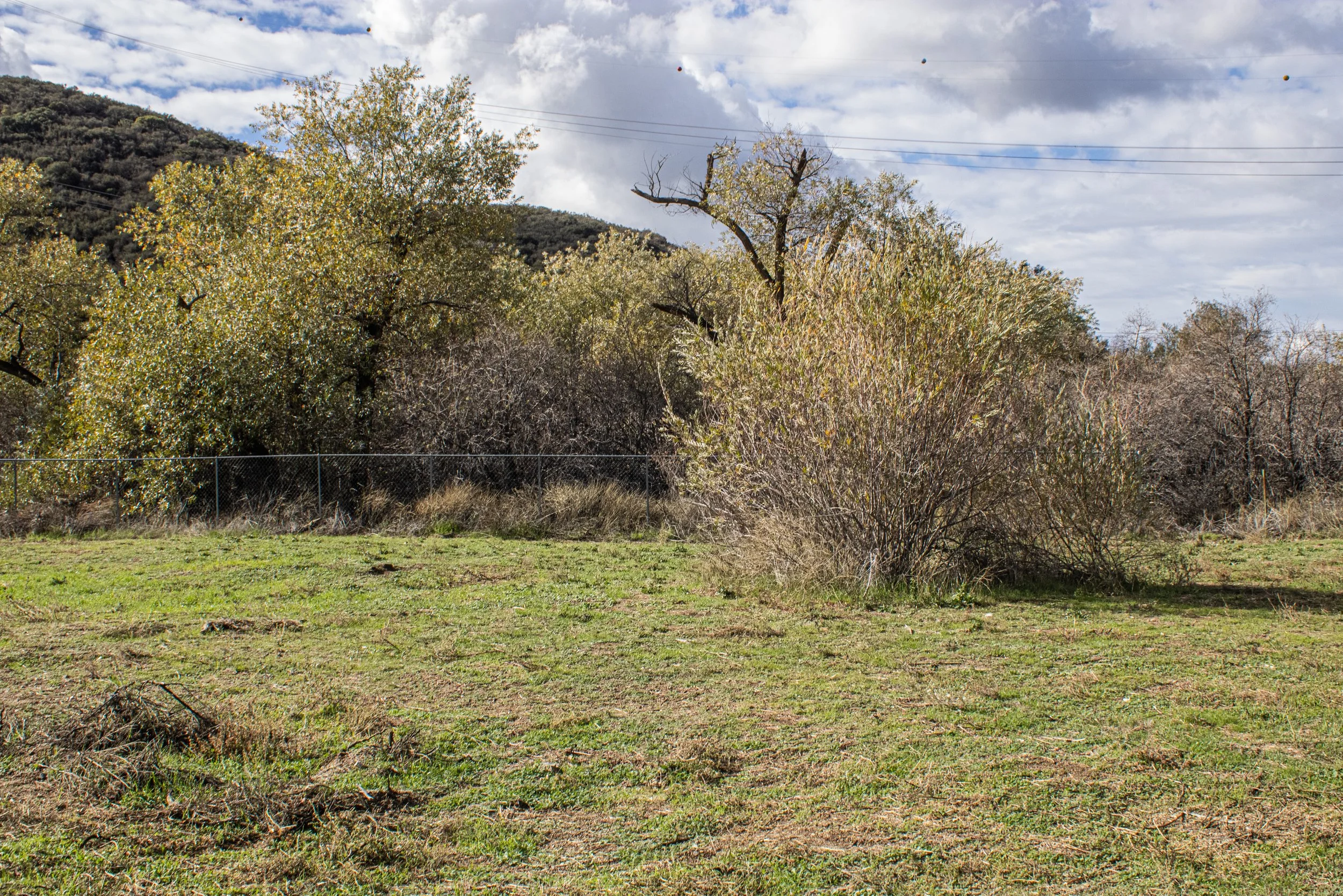 Fall 2025 edit 8.jpg