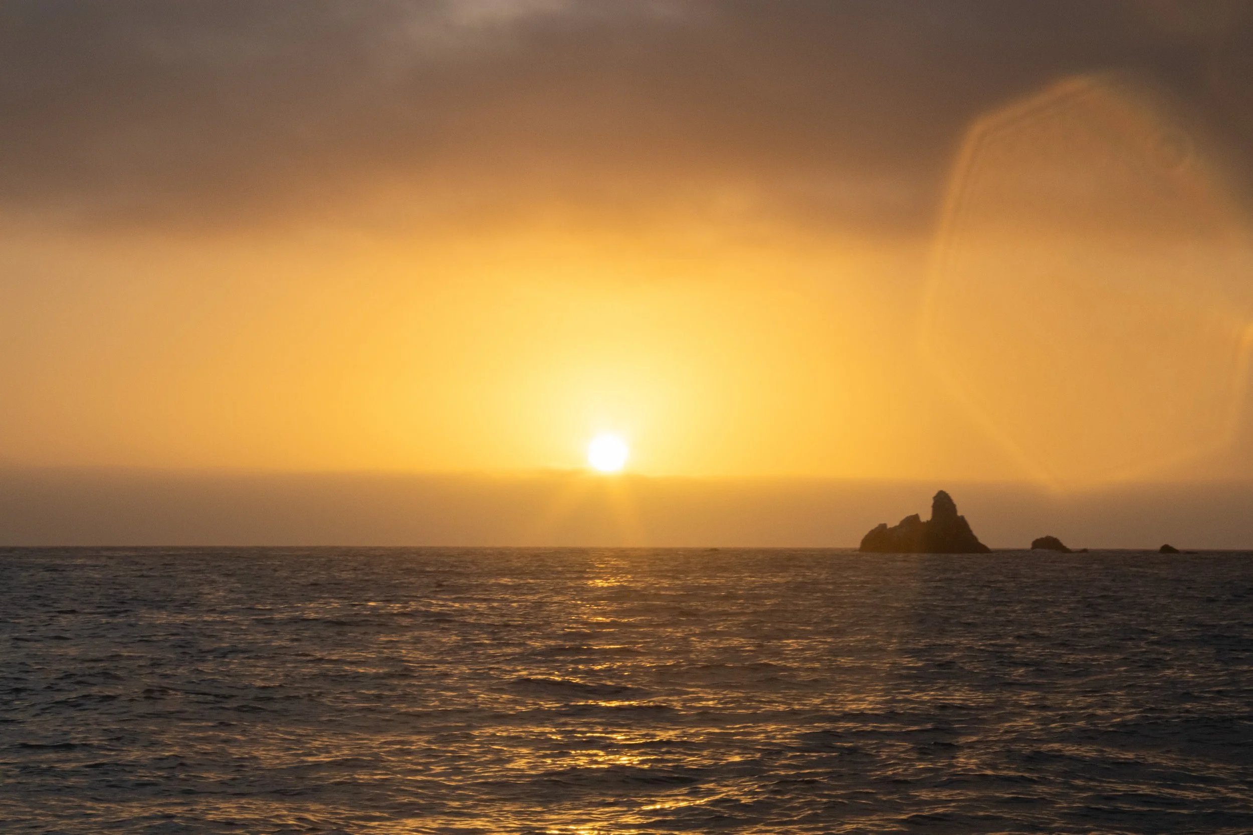 Catalina 9.jpg