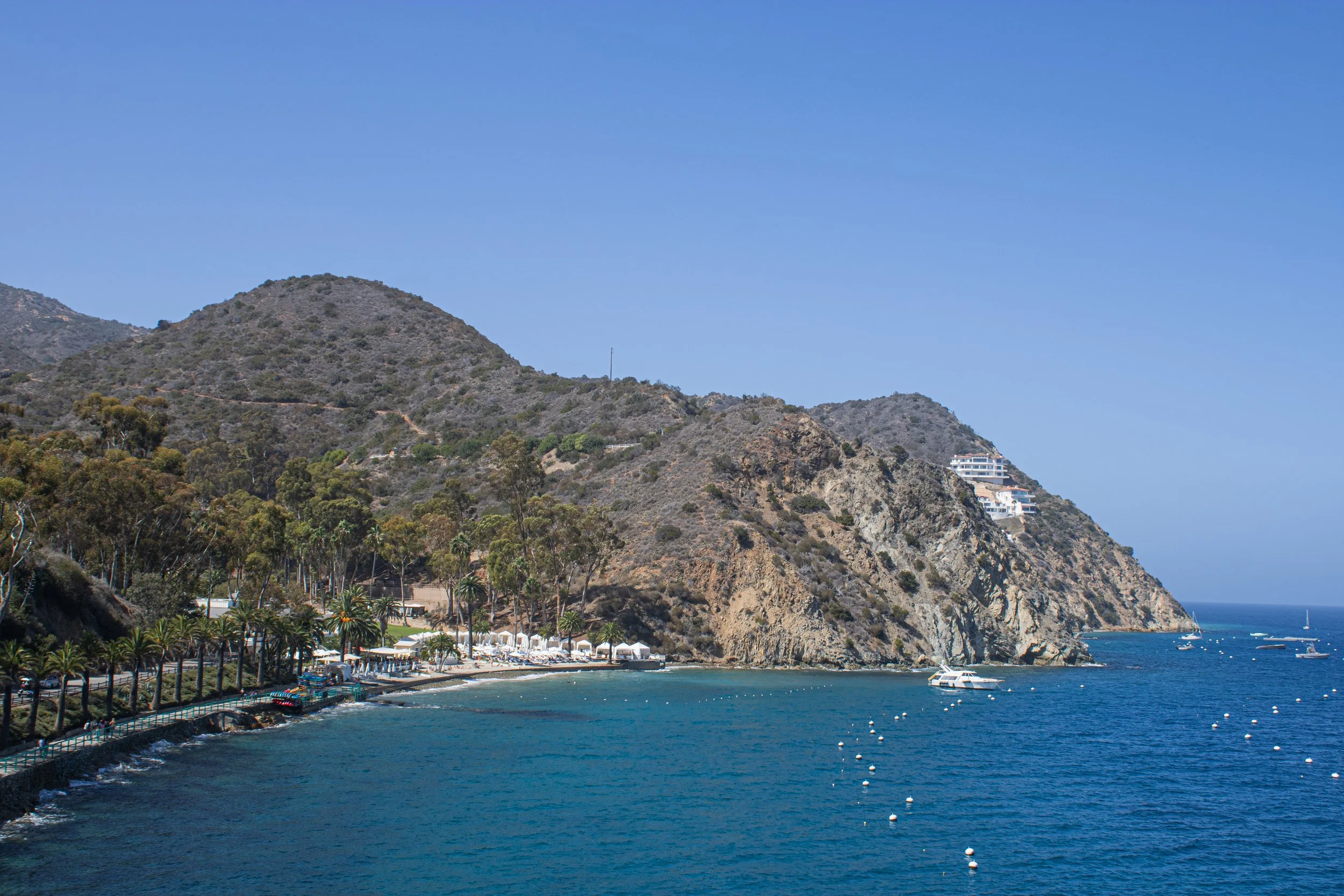 Catalina 3.jpg