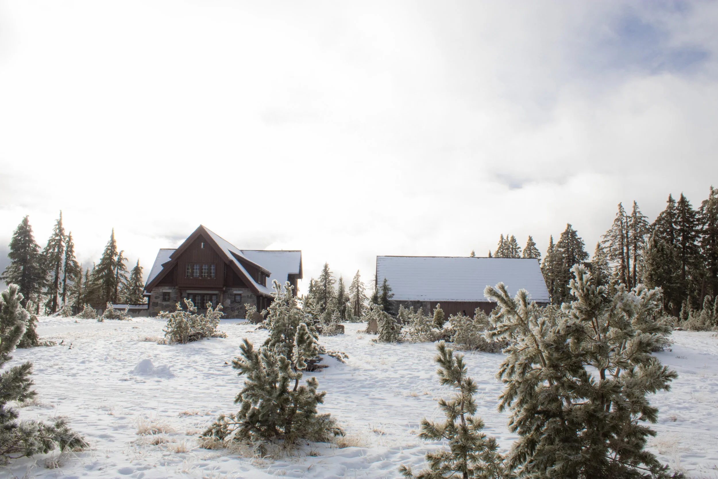 Winter 2025 edit 3.jpg