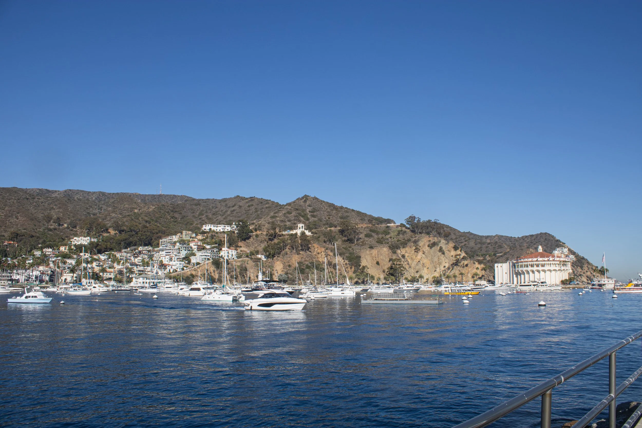 Catalina 12.jpg