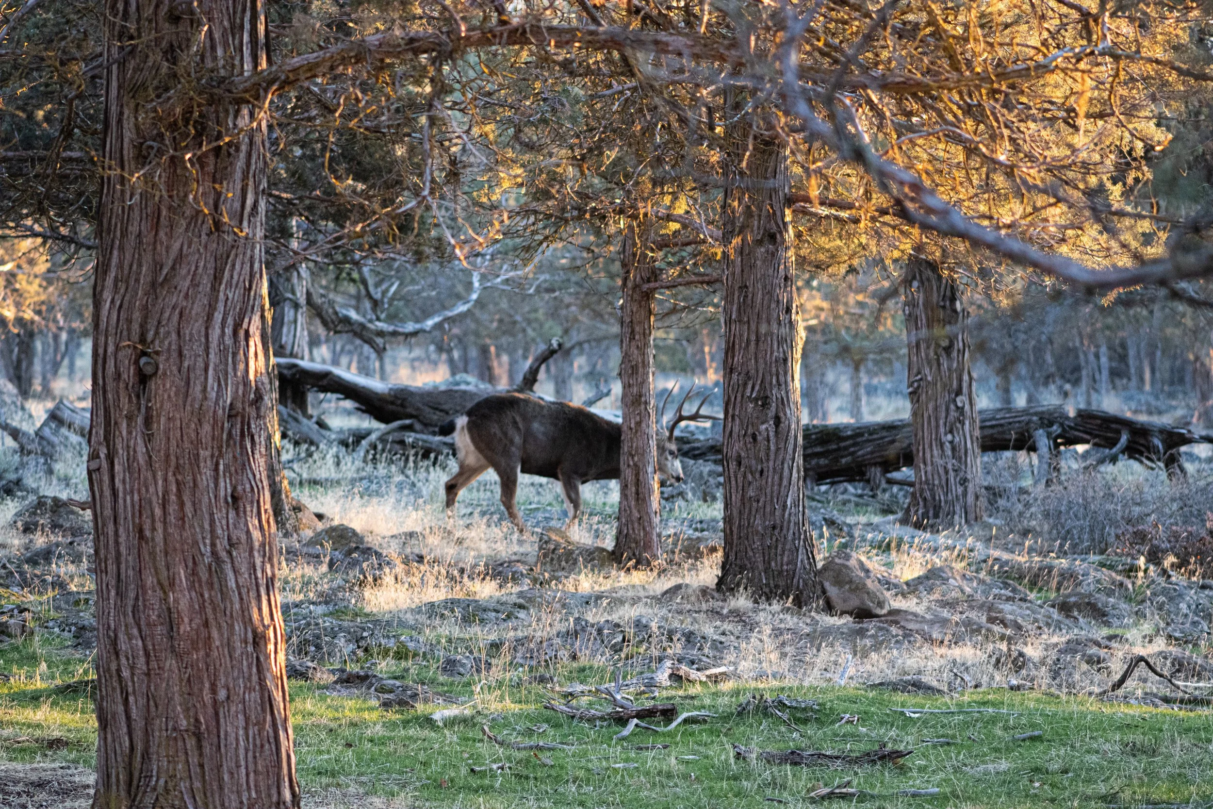 Fall 2025 edit 9.jpg