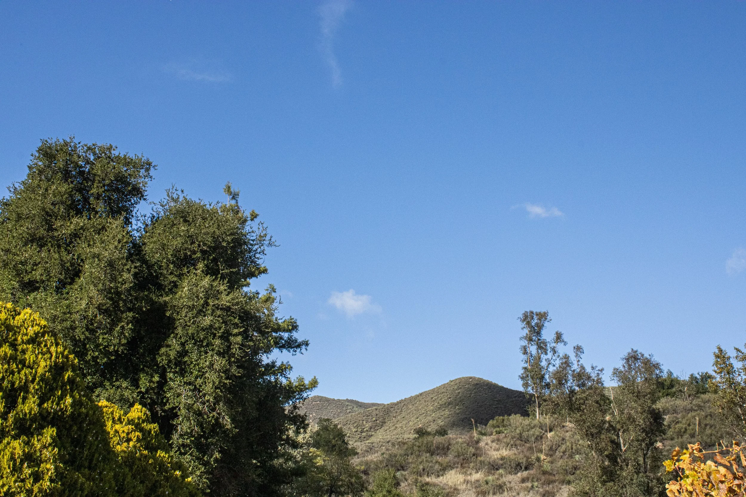 Fall 2025 edit 3.jpg