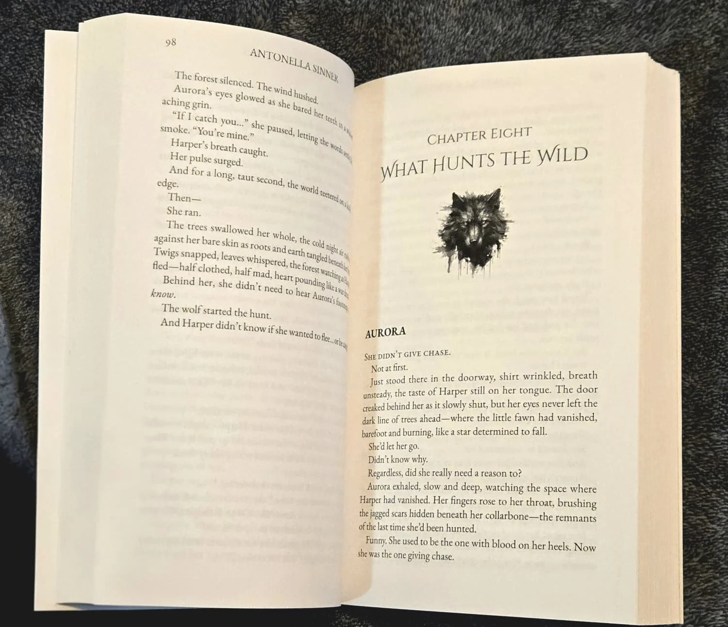 WhatsApp Image 2026-02-04 at 8.33.27 PM.jpeg