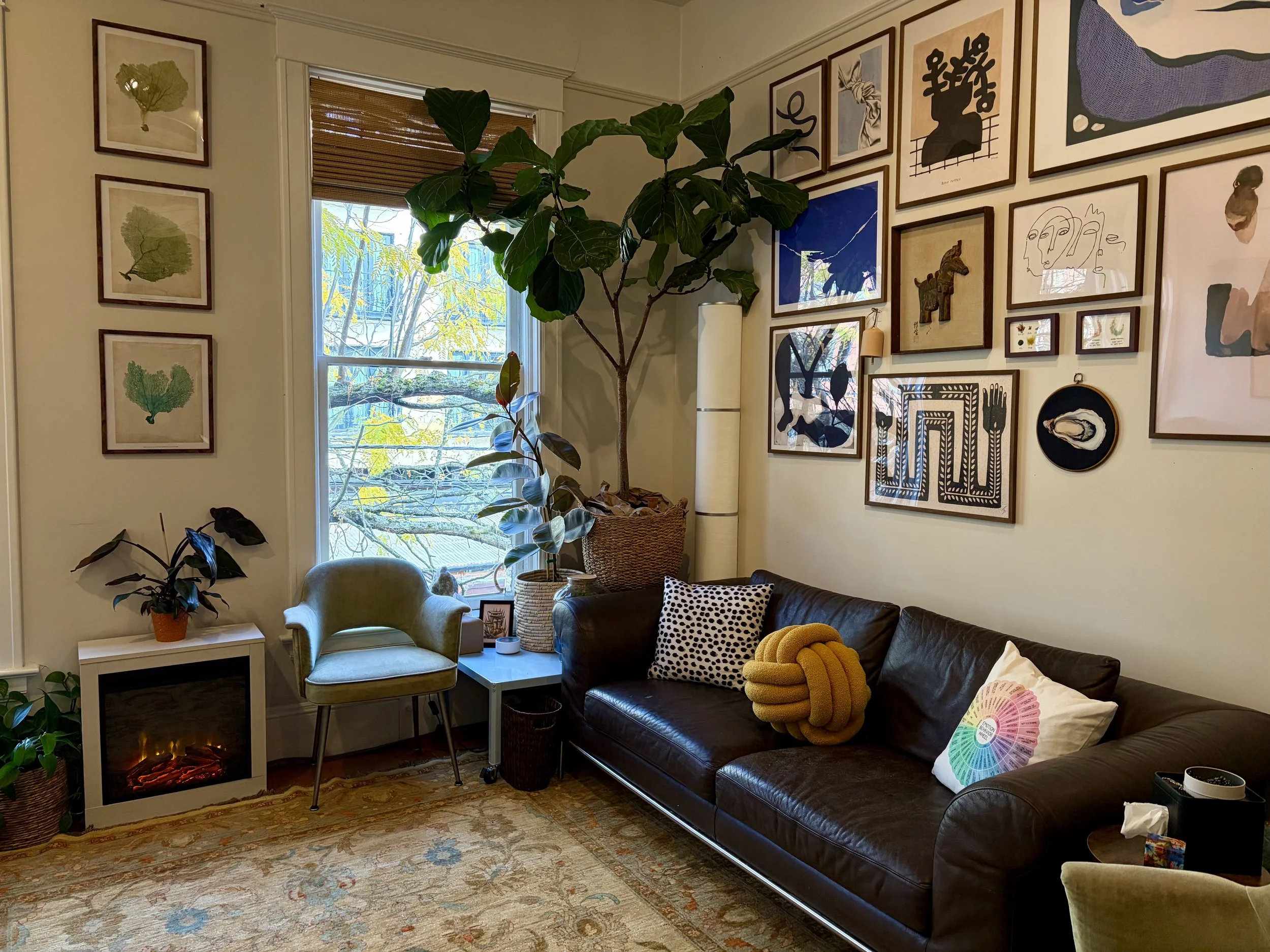 Living room with a large wall of framed artwork, a large potted plant near the window, a leather sofa with pillows, a small electric fireplace, and a patterned rug.
