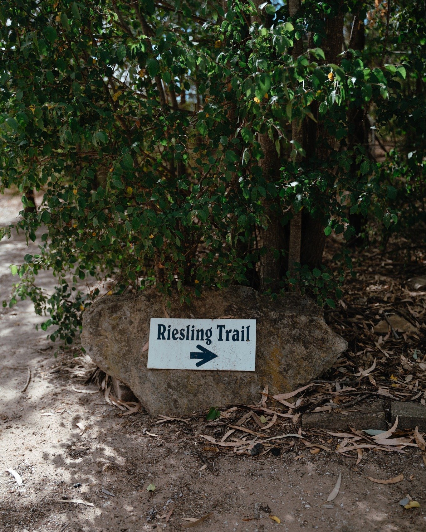 With the Riesling Trail right at our doorstep, your Clare Valley adventure begins the moment you arrive.

Whether it&rsquo;s a crisp winter walk or a morning ride into town, the path to slow days and fresh country air starts here.

🌿 Book your winte