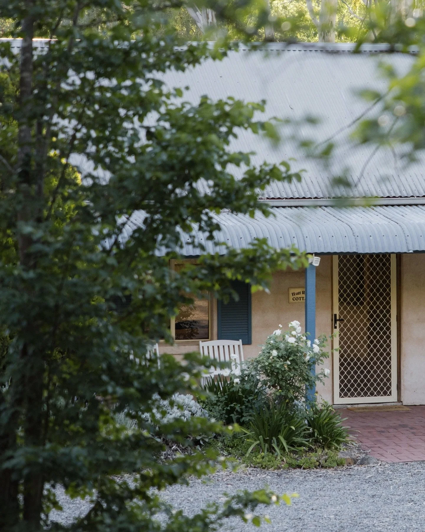 &lsquo;Our second stay and just as good as we remembered&rsquo; ✨

Hutt River Cottage continues to be a place where our guests love returning to ~ and here&rsquo;s a few reasons why:

🤍 &lsquo;Right on the Riesling Trail&rsquo; with easy walks or ri