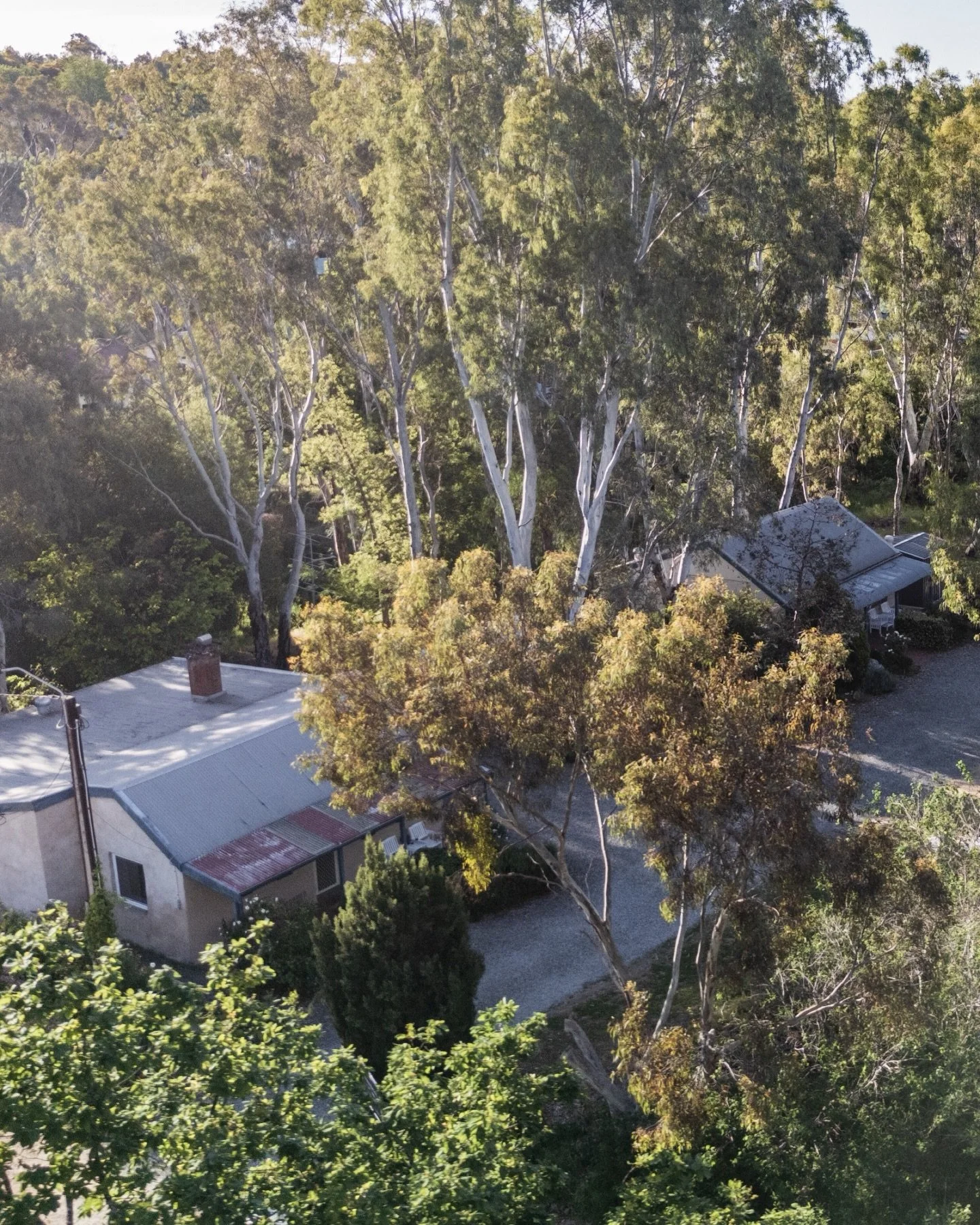 At @donnybrookcottages, step straight onto the Riesling Trail and let the Clare Valley set the pace ✨

Long rides, slow afternoons and quiet stretches of countryside unfold just beyond your door.

We invite you to stay and experience it for yourself.