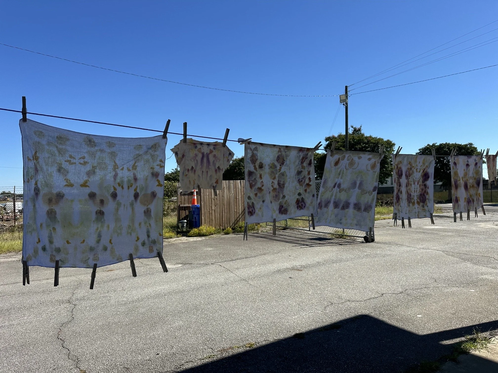 ECO Printing with Tabitha Ott